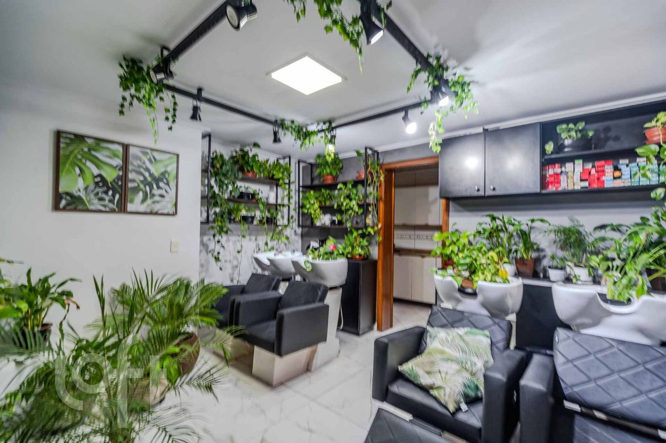 Imagem da propriedade 13