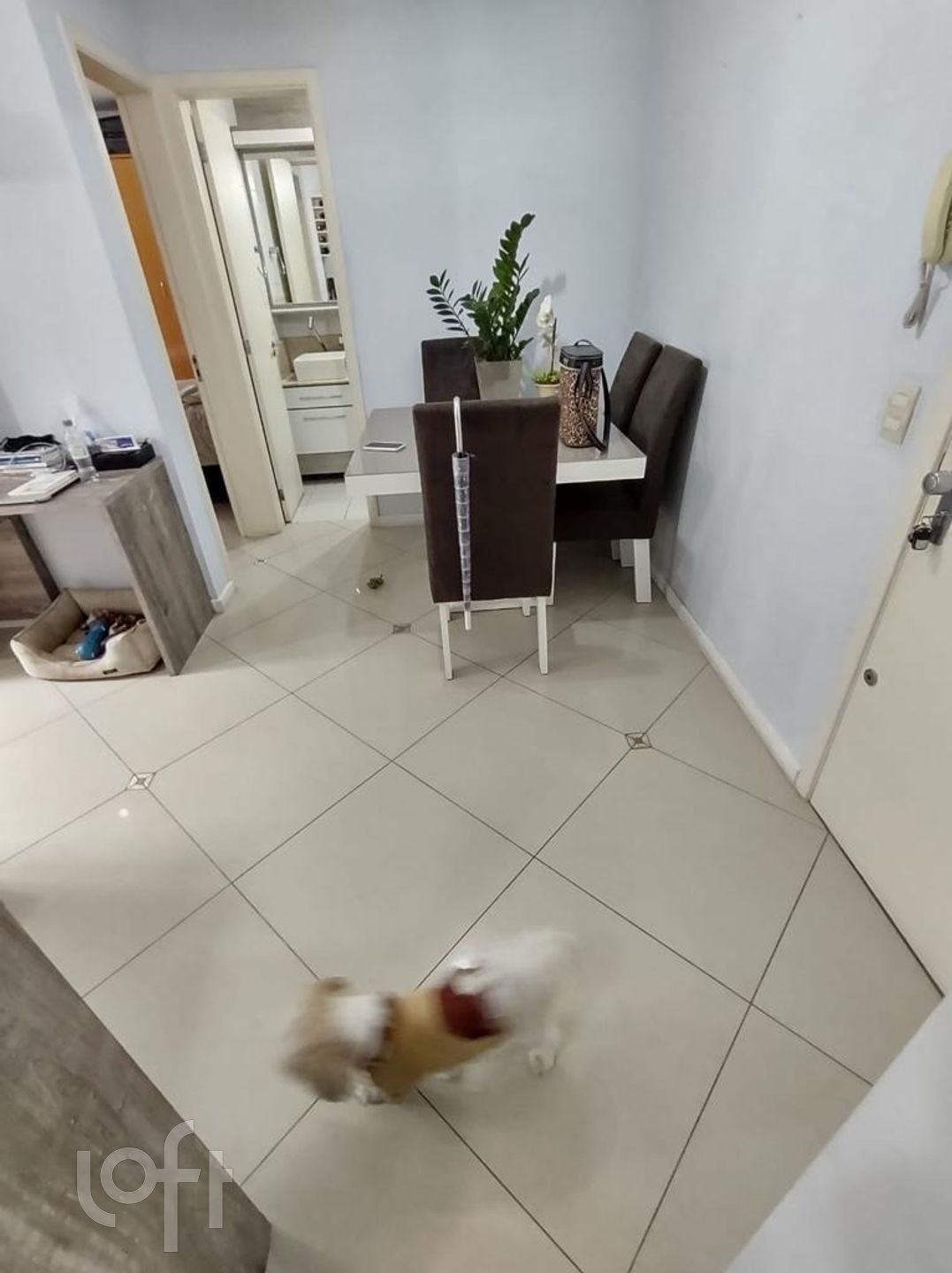 Imagem da propriedade 6