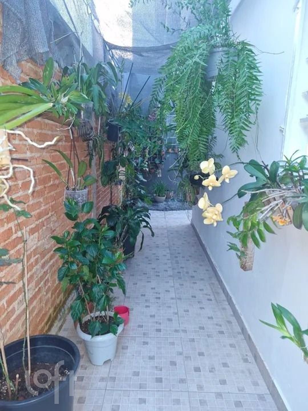 Imagem da propriedade PUwzujy9 10