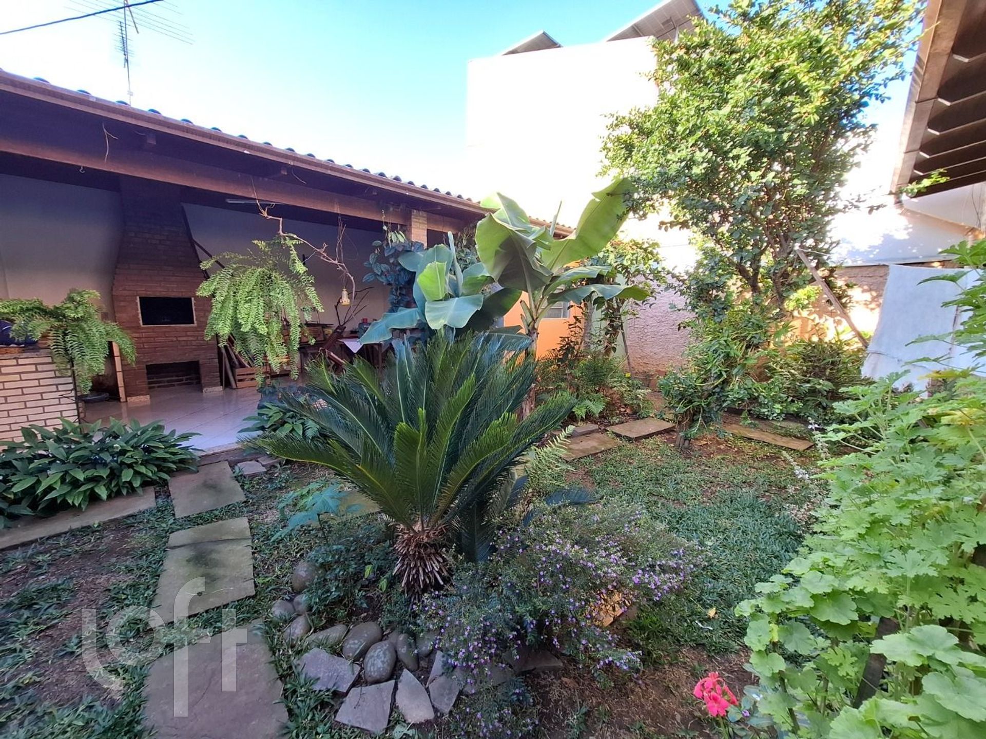 Imagem da propriedade 23