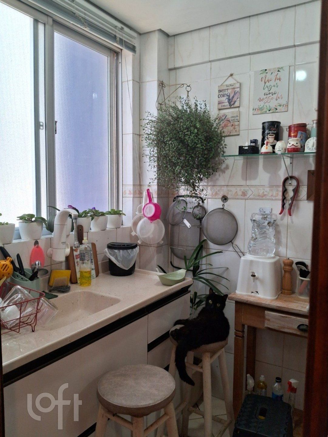 Imagem da propriedade 11