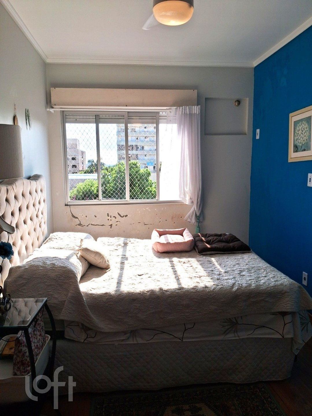 Imagem da propriedade 17