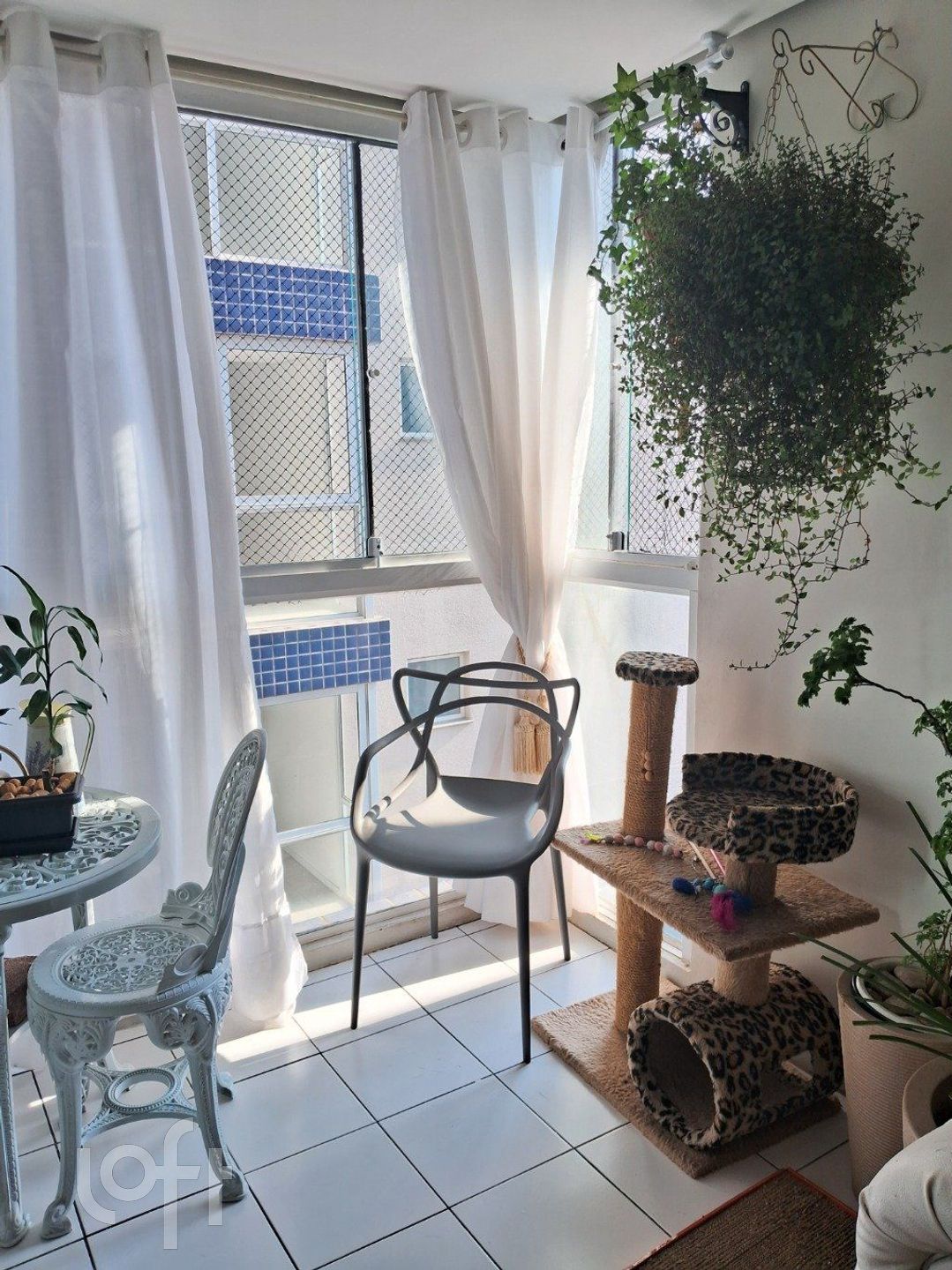 Imagem da propriedade 5