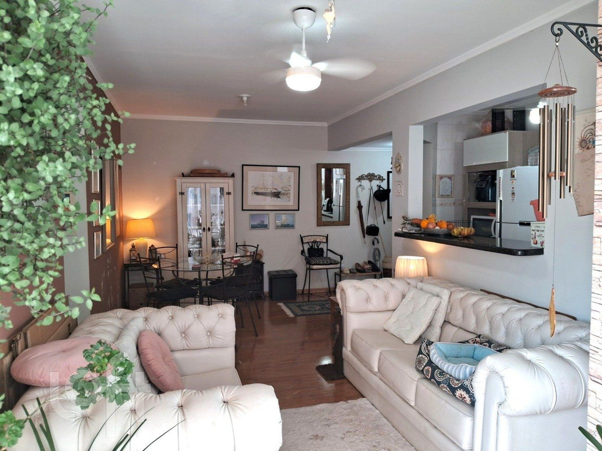 Imagem da propriedade 3