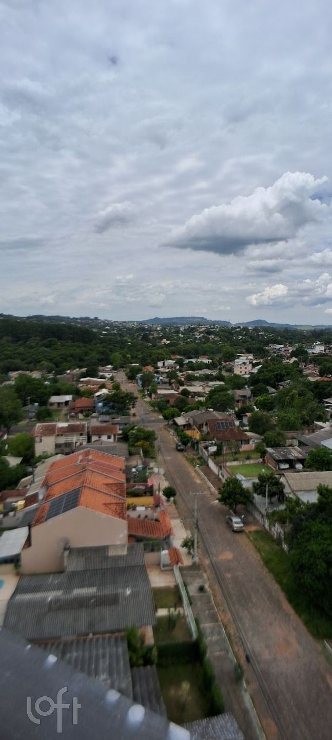 Imagem da propriedade 3