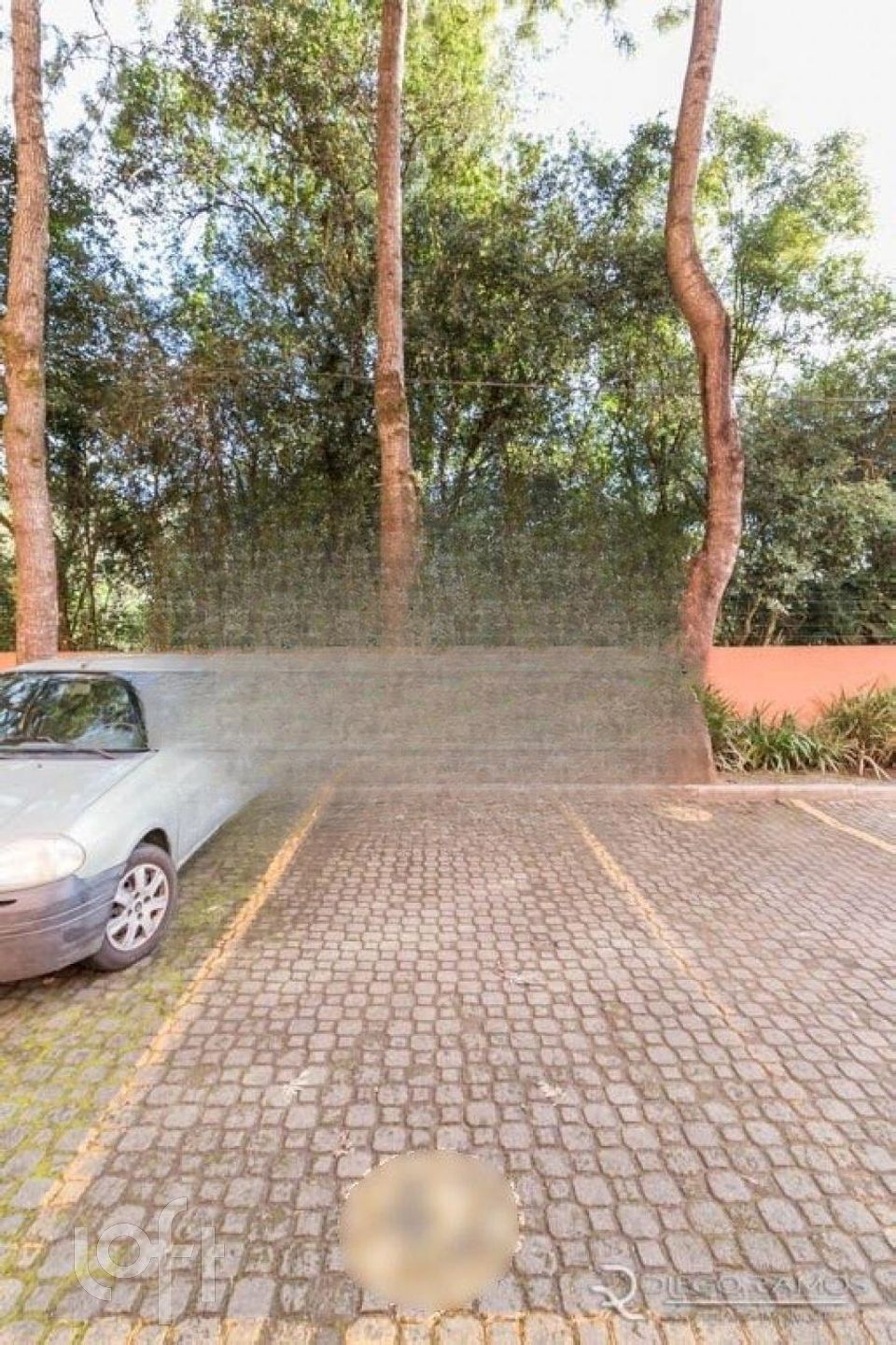 Imagem da propriedade 32