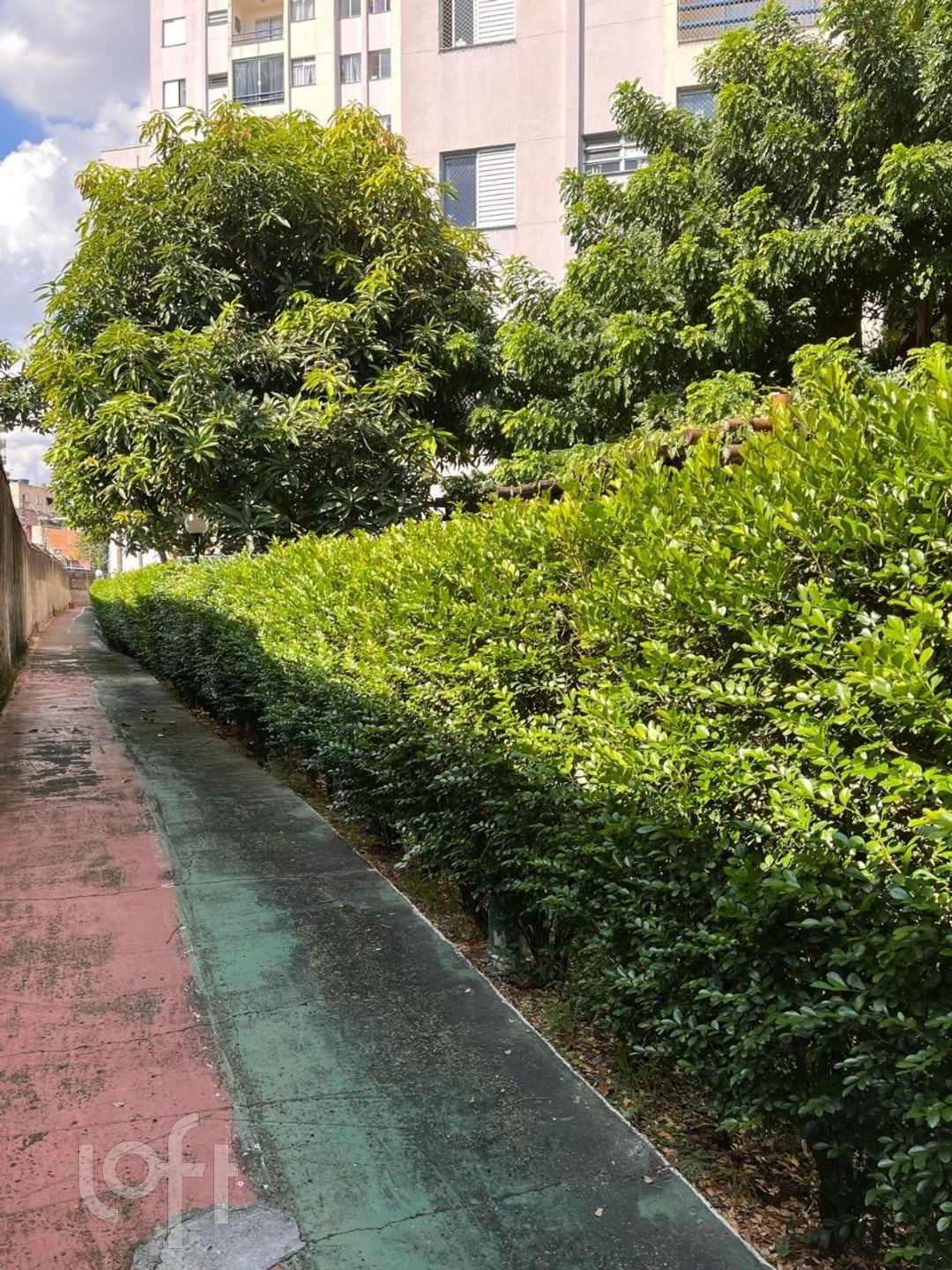 Apartamento à venda com 2 quartos, 55m² - Foto 24