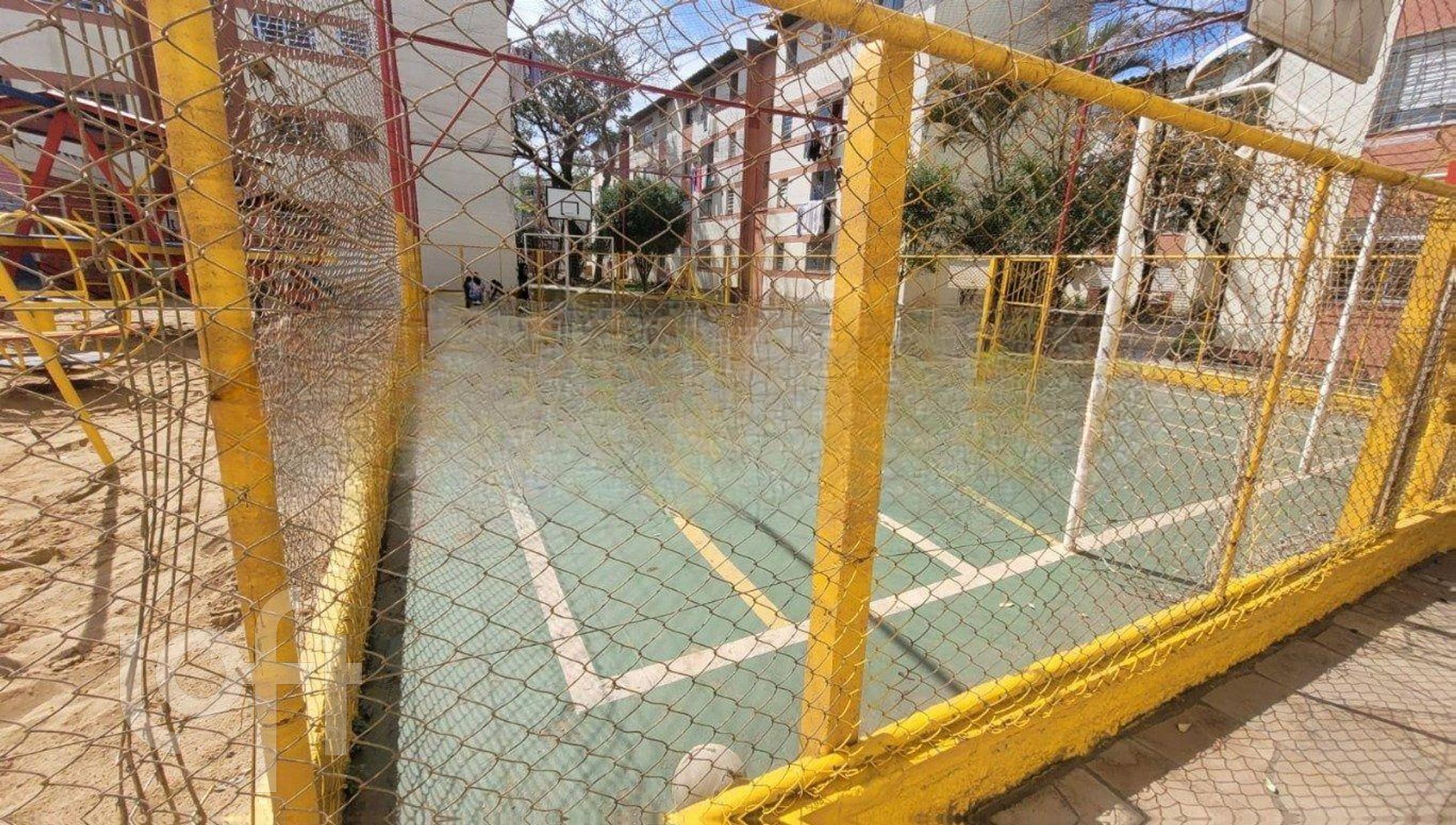 Imagem da propriedade 13