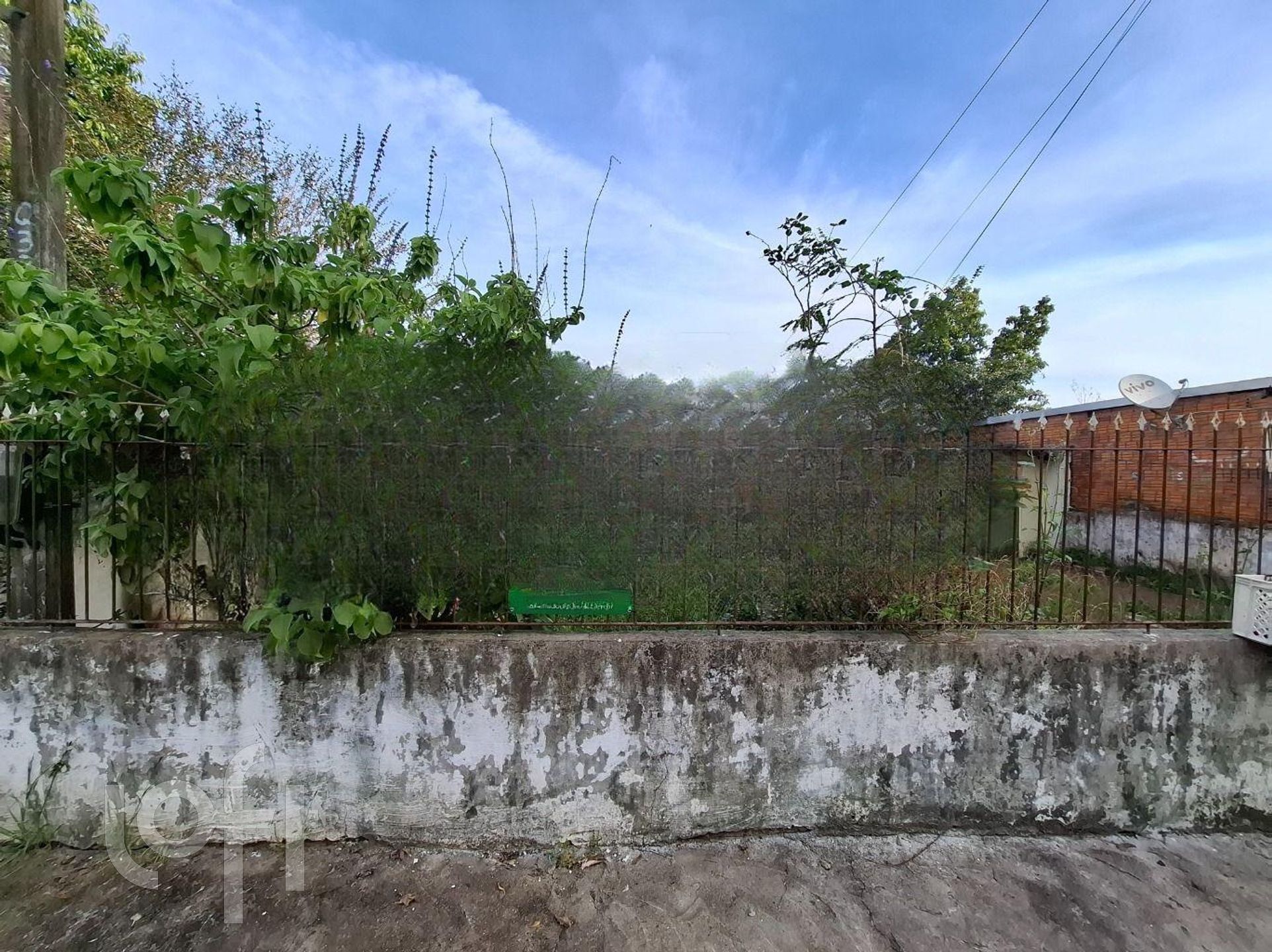 Imagem da propriedade 3