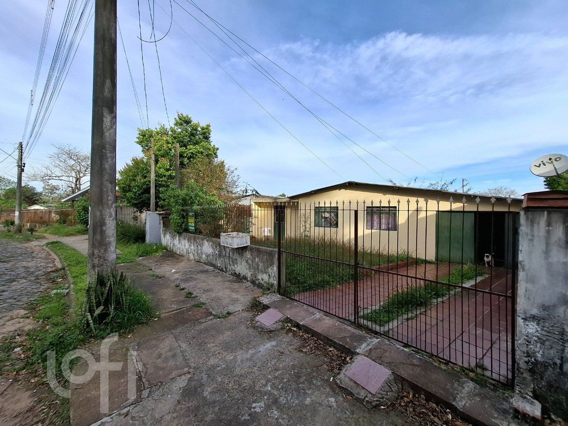 Imagem da propriedade 5