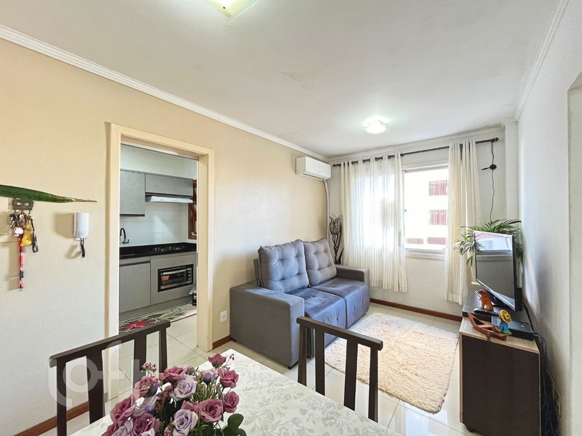 Imagem da propriedade 5