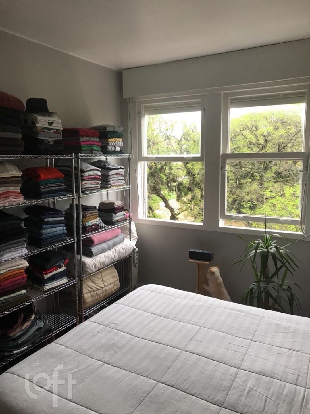 Imagem da propriedade 21