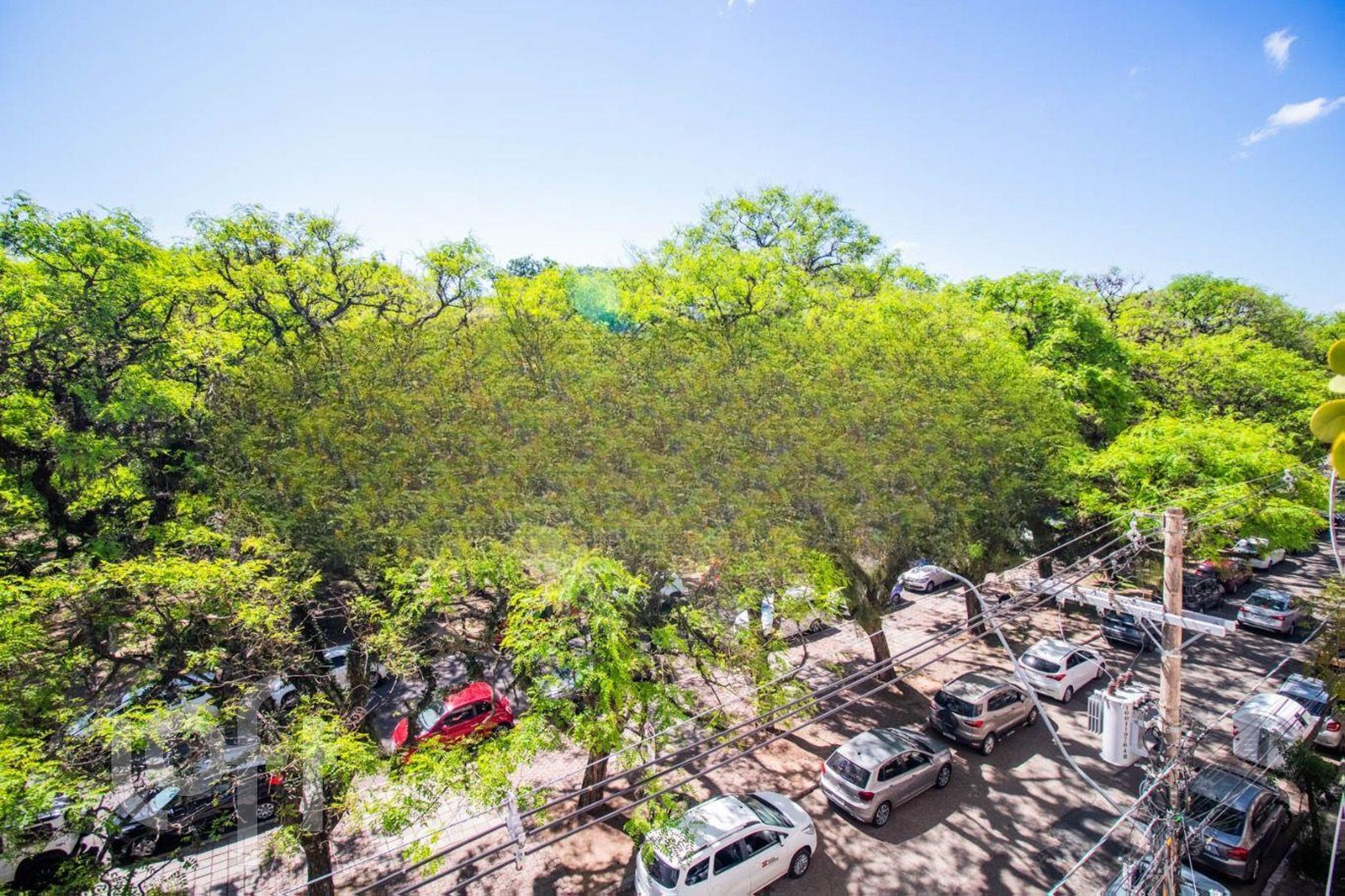 Imagem da propriedade 5