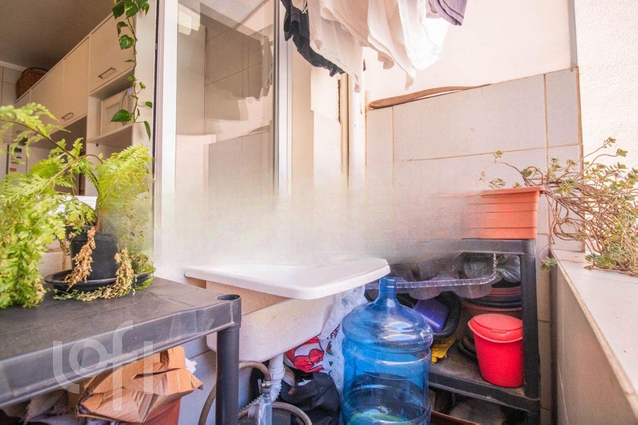 Imagem da propriedade 13