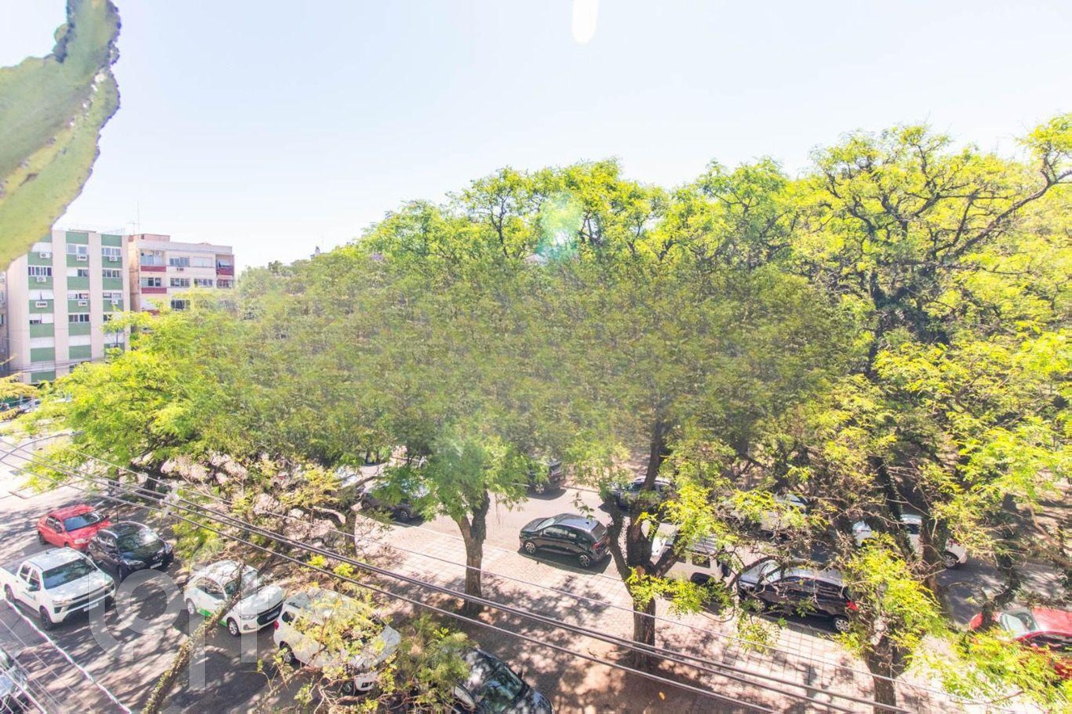 Imagem da propriedade 4