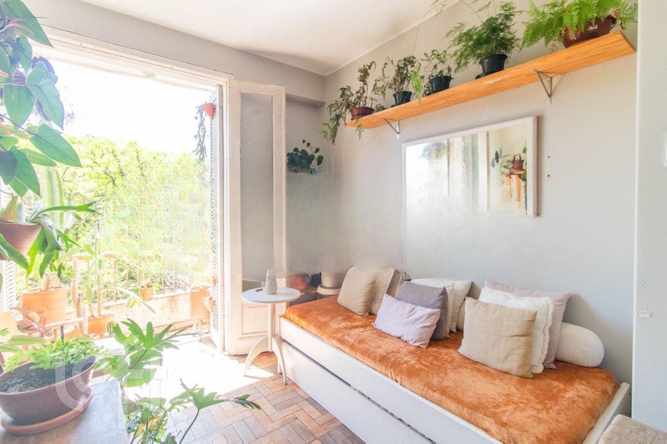 Imagem da propriedade 6