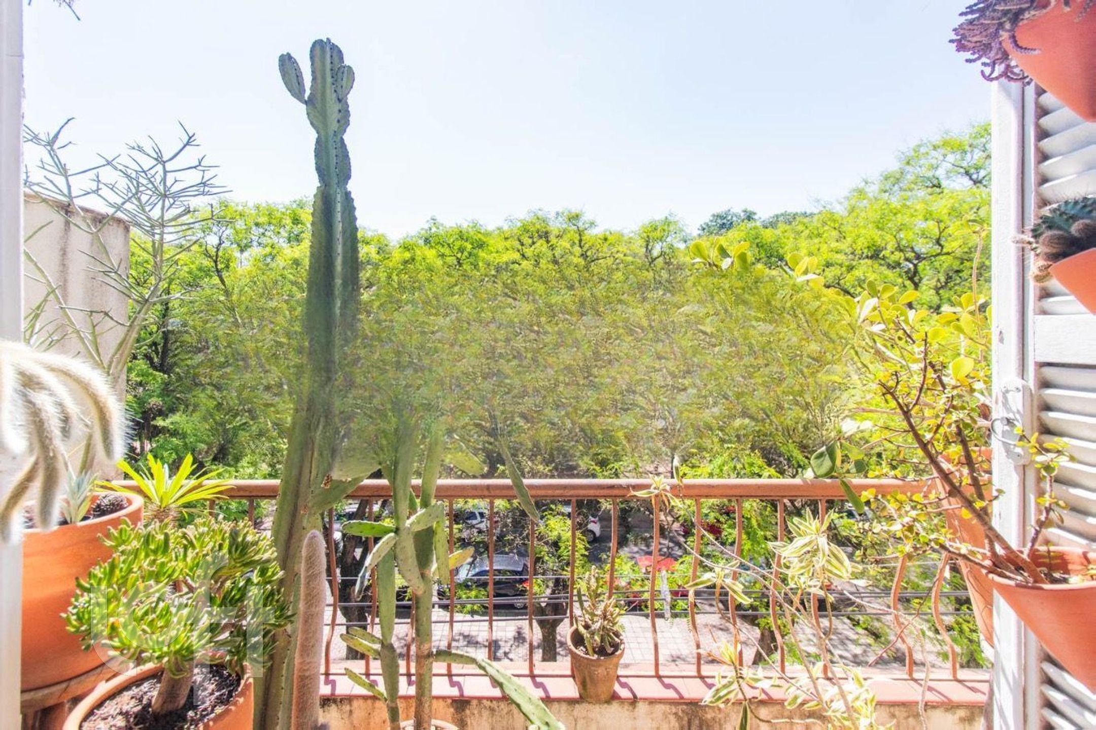 Imagem da propriedade 3