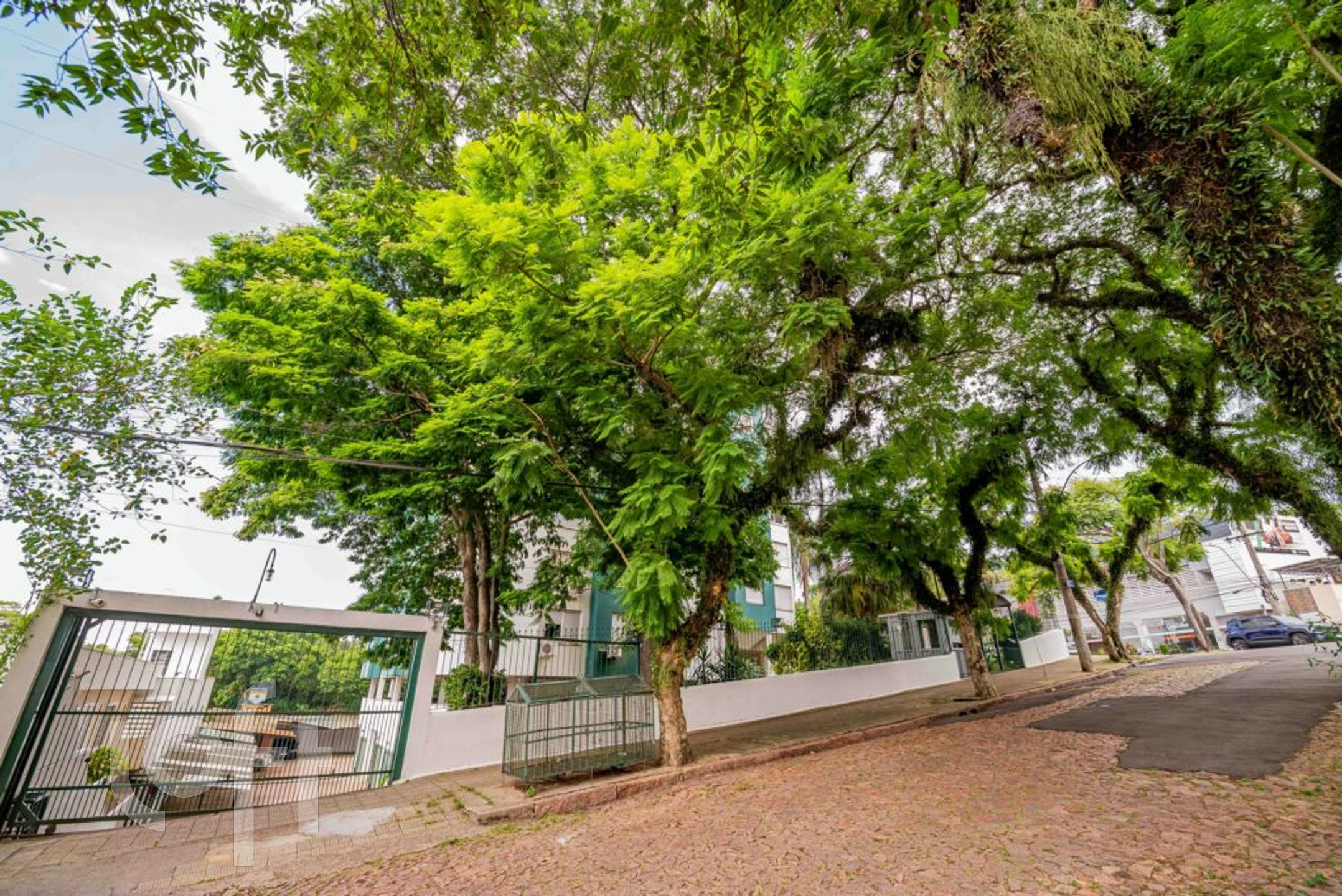 Imagem da propriedade 32