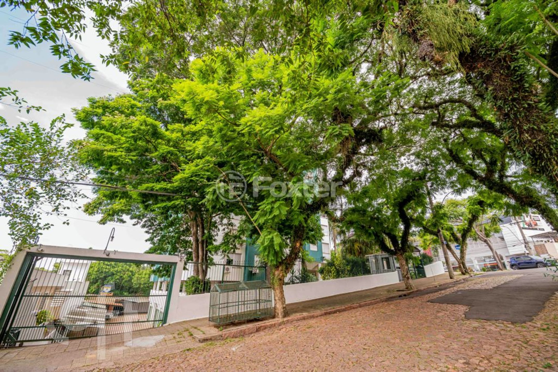 Imagem da propriedade 32