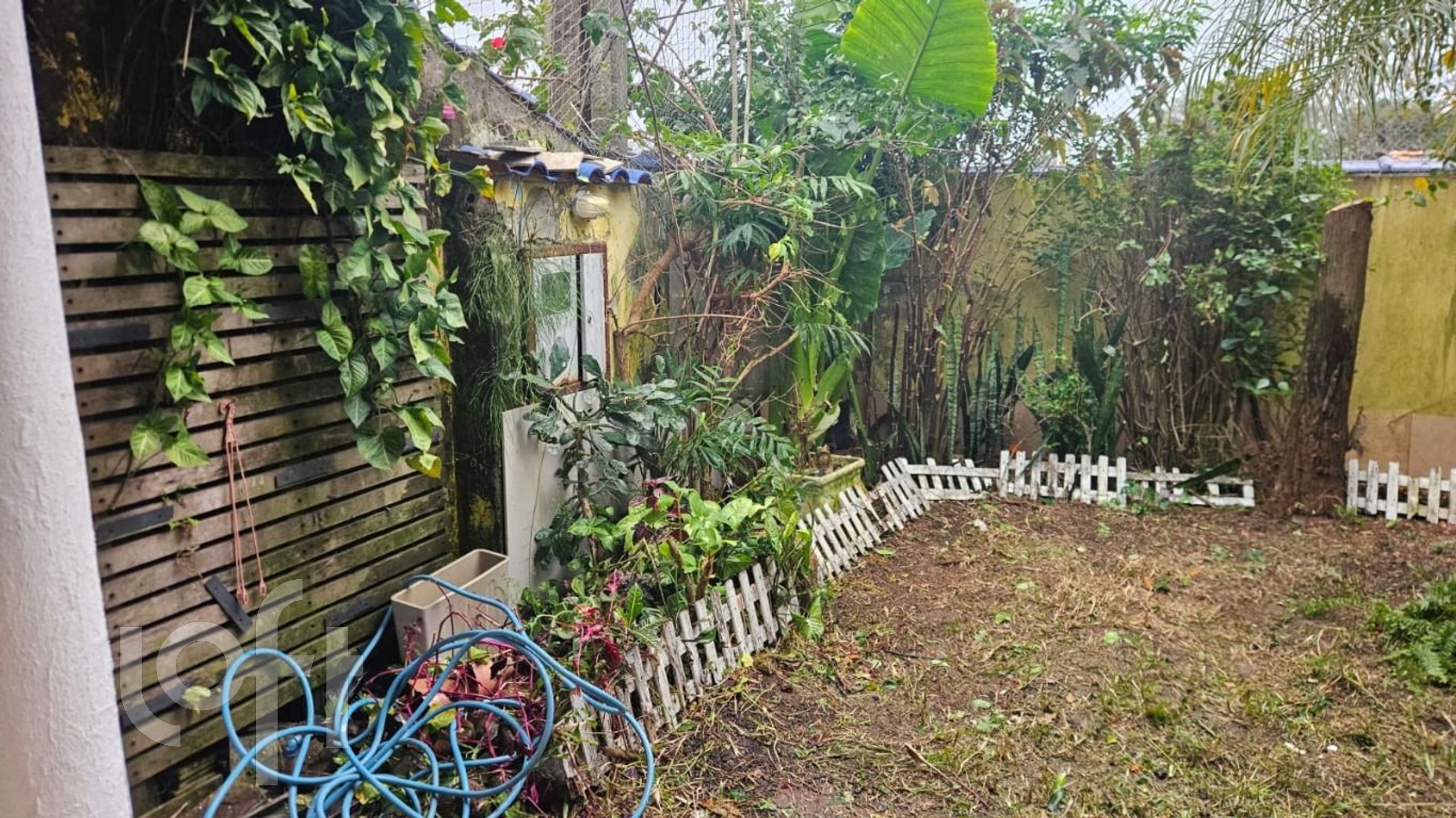 Imagem da propriedade 11