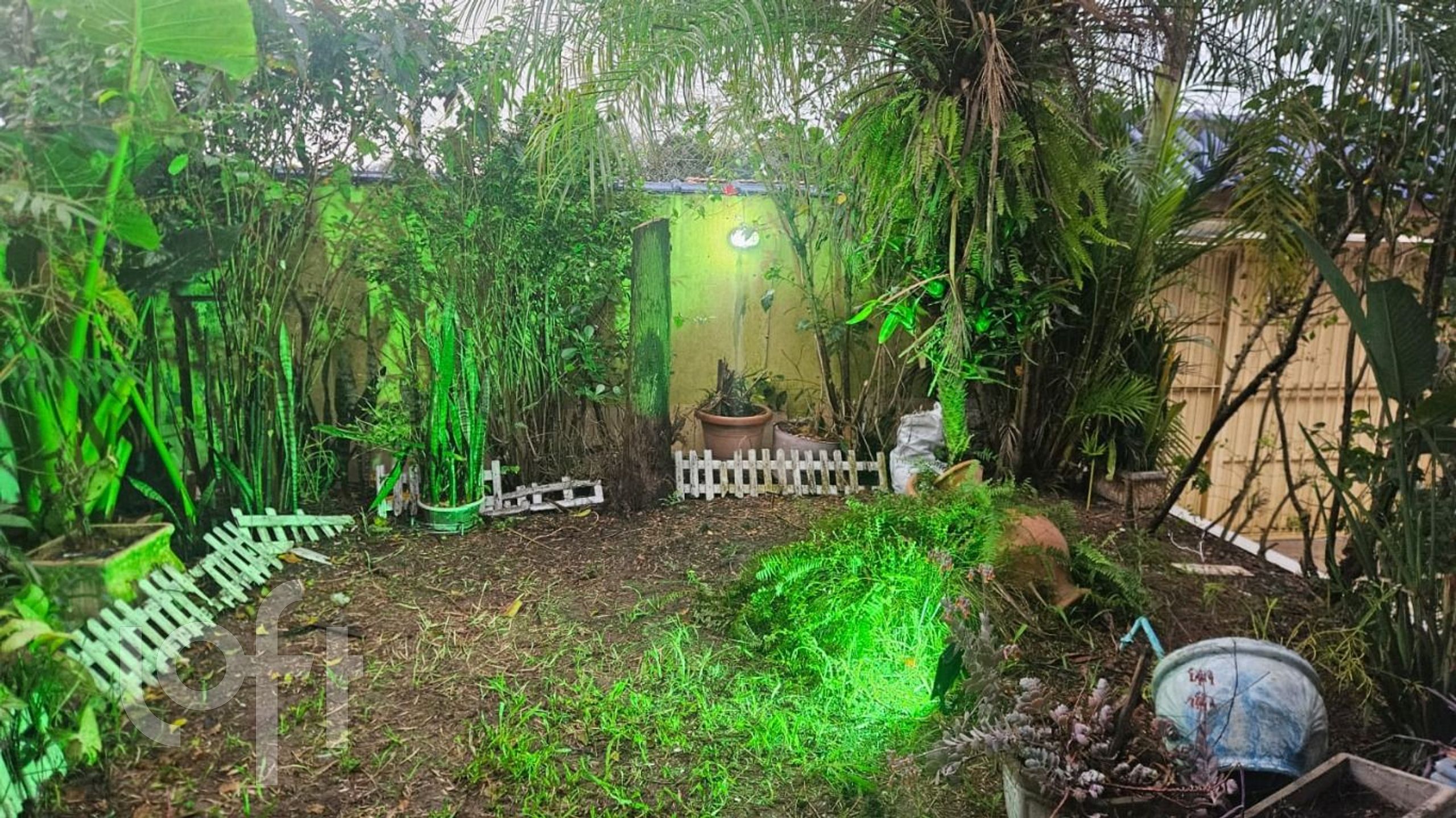 Imagem da propriedade 13