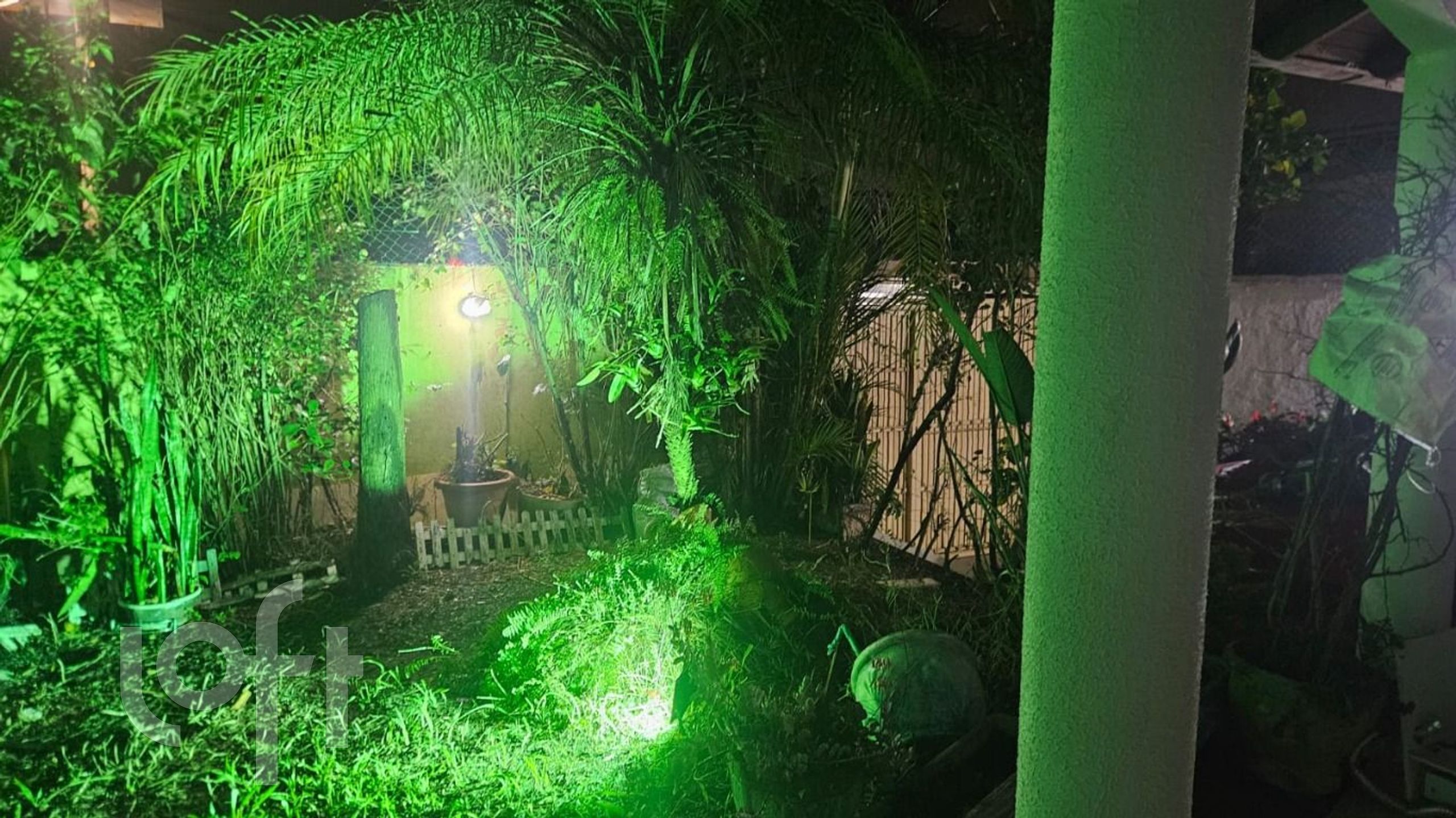 Imagem da propriedade 12