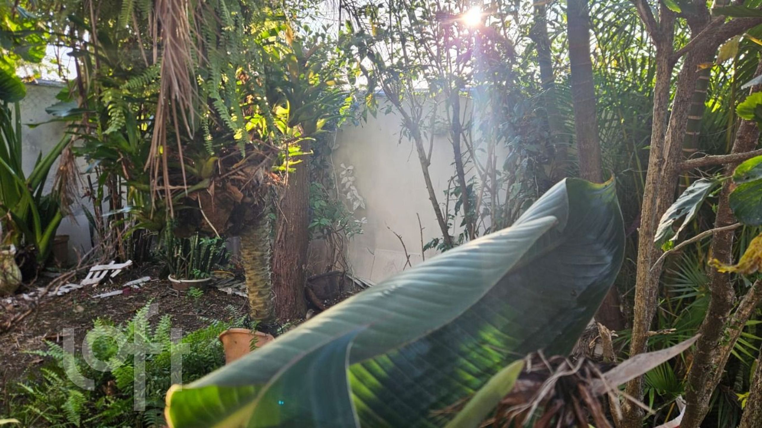 Imagem da propriedade 10