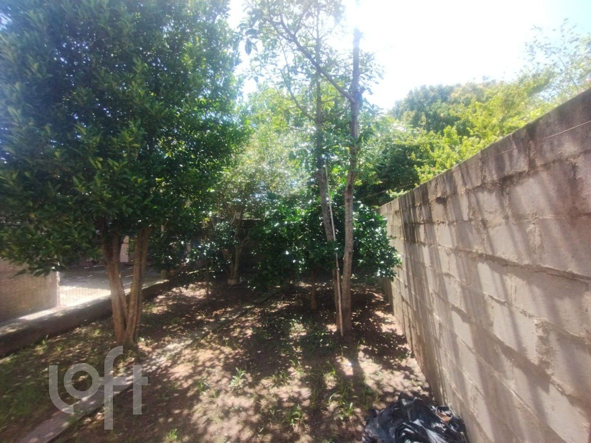 Imagem da propriedade 26