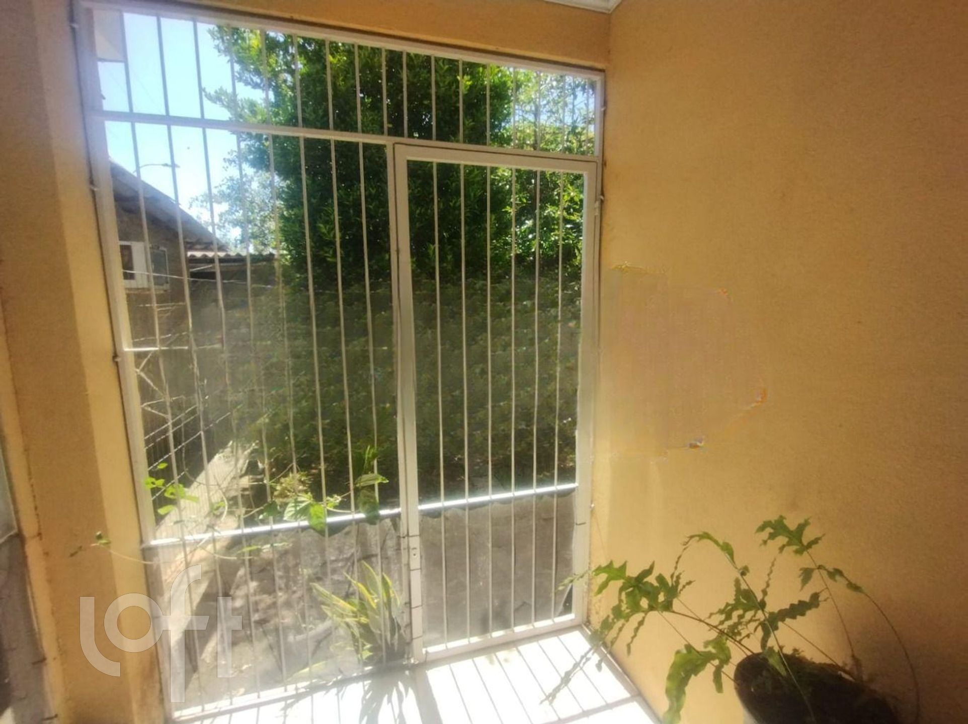 Imagem da propriedade 22