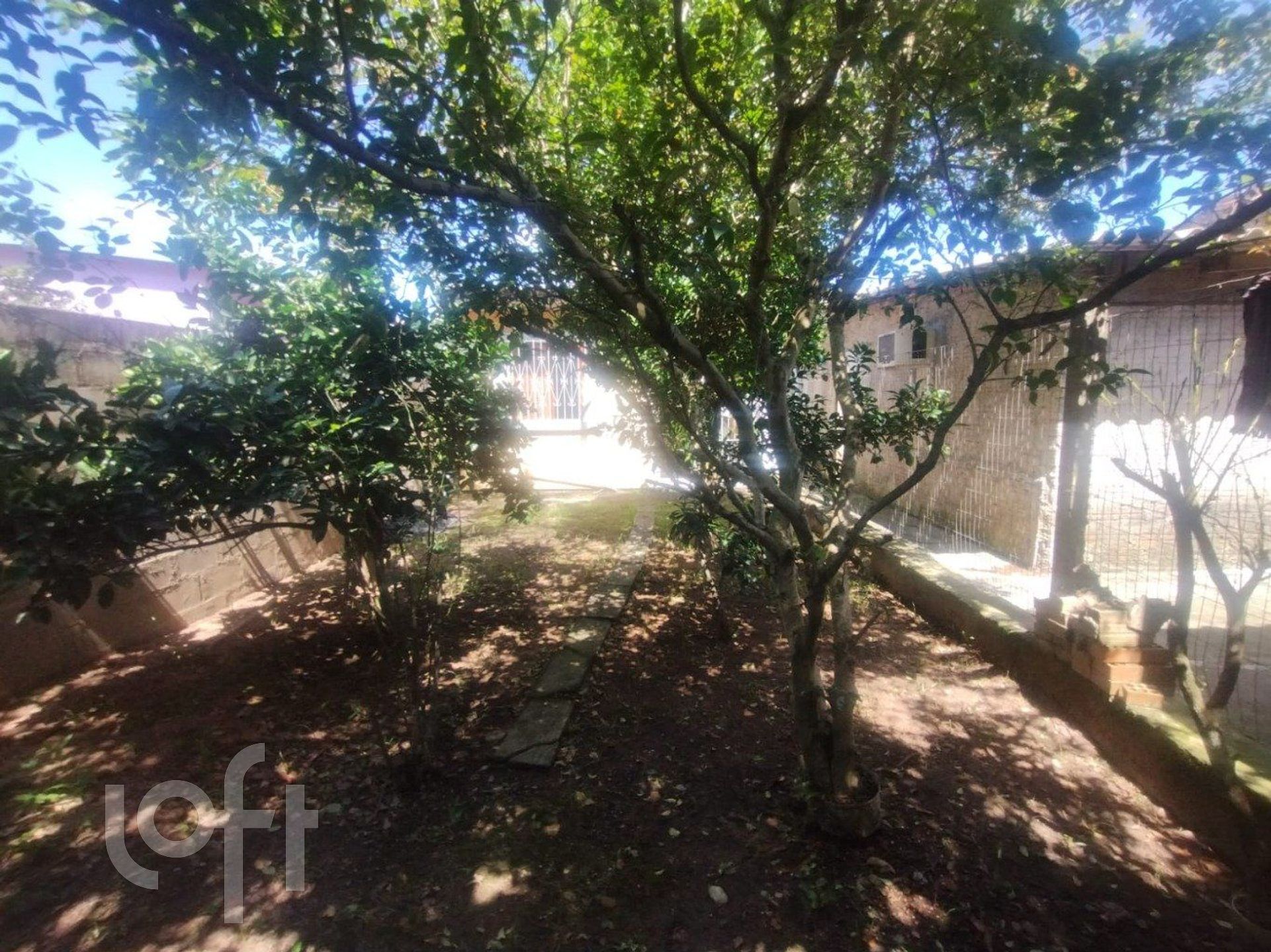 Imagem da propriedade 25