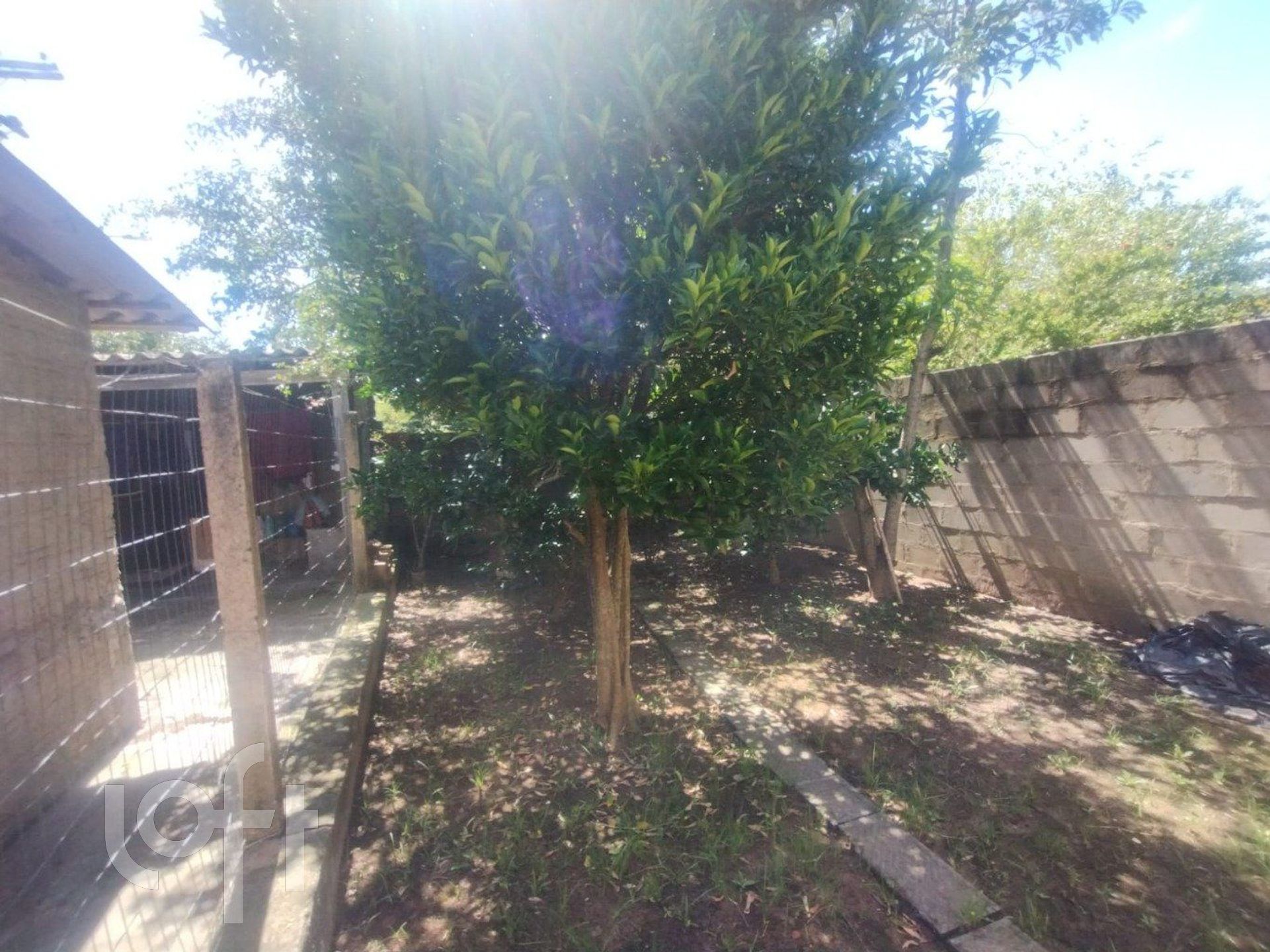 Imagem da propriedade 23