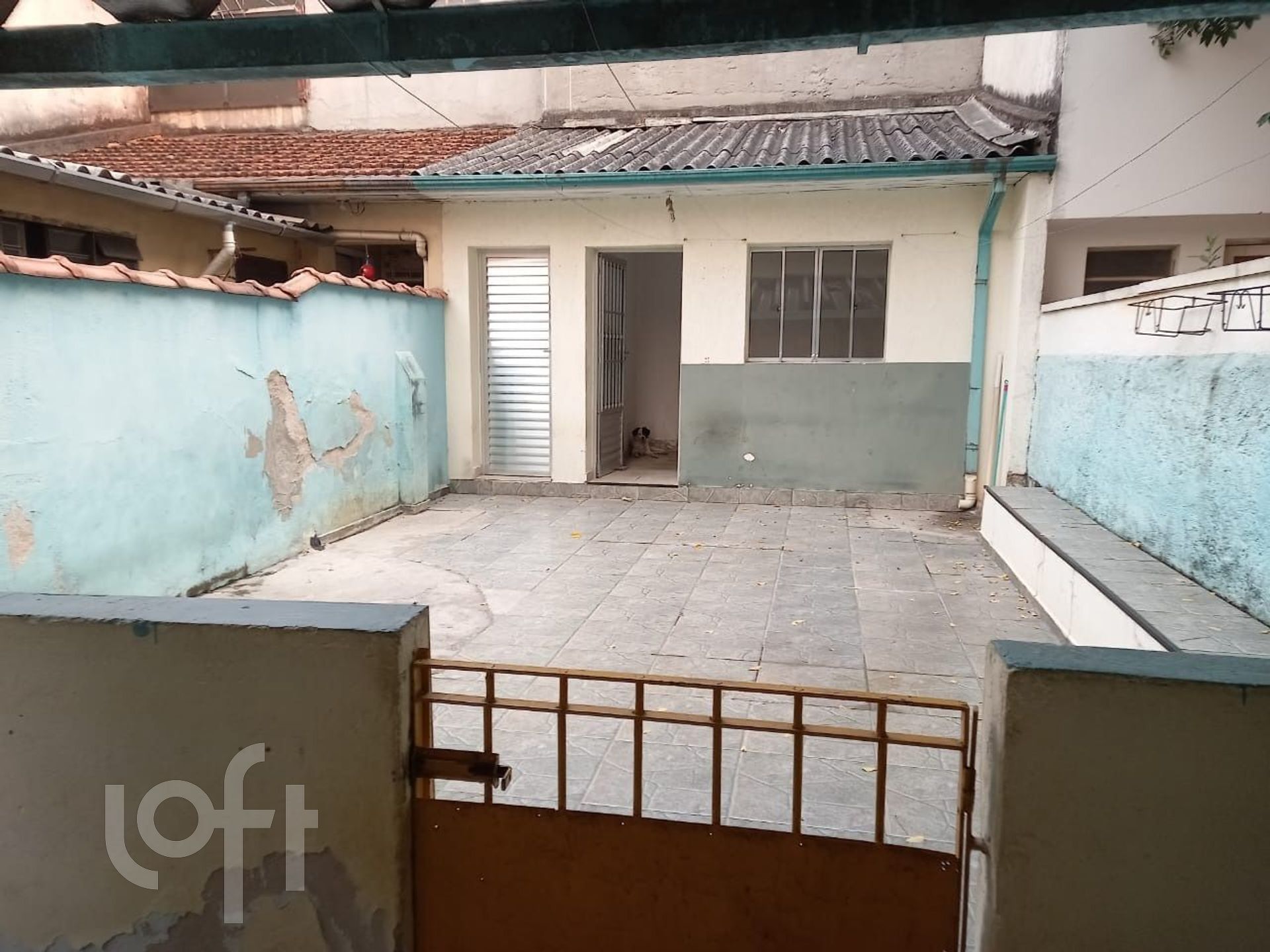 Imagem da propriedade 13