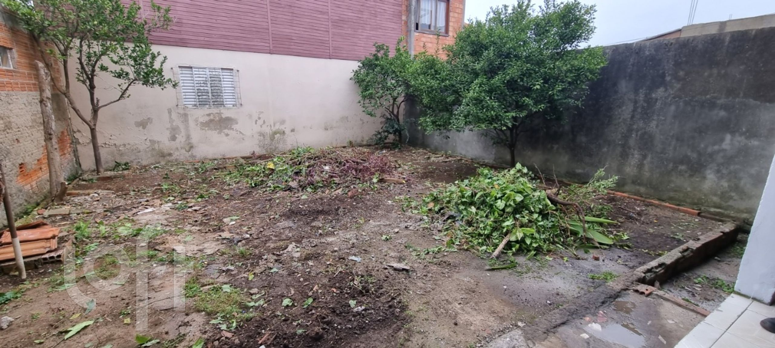 Imagem da propriedade 22