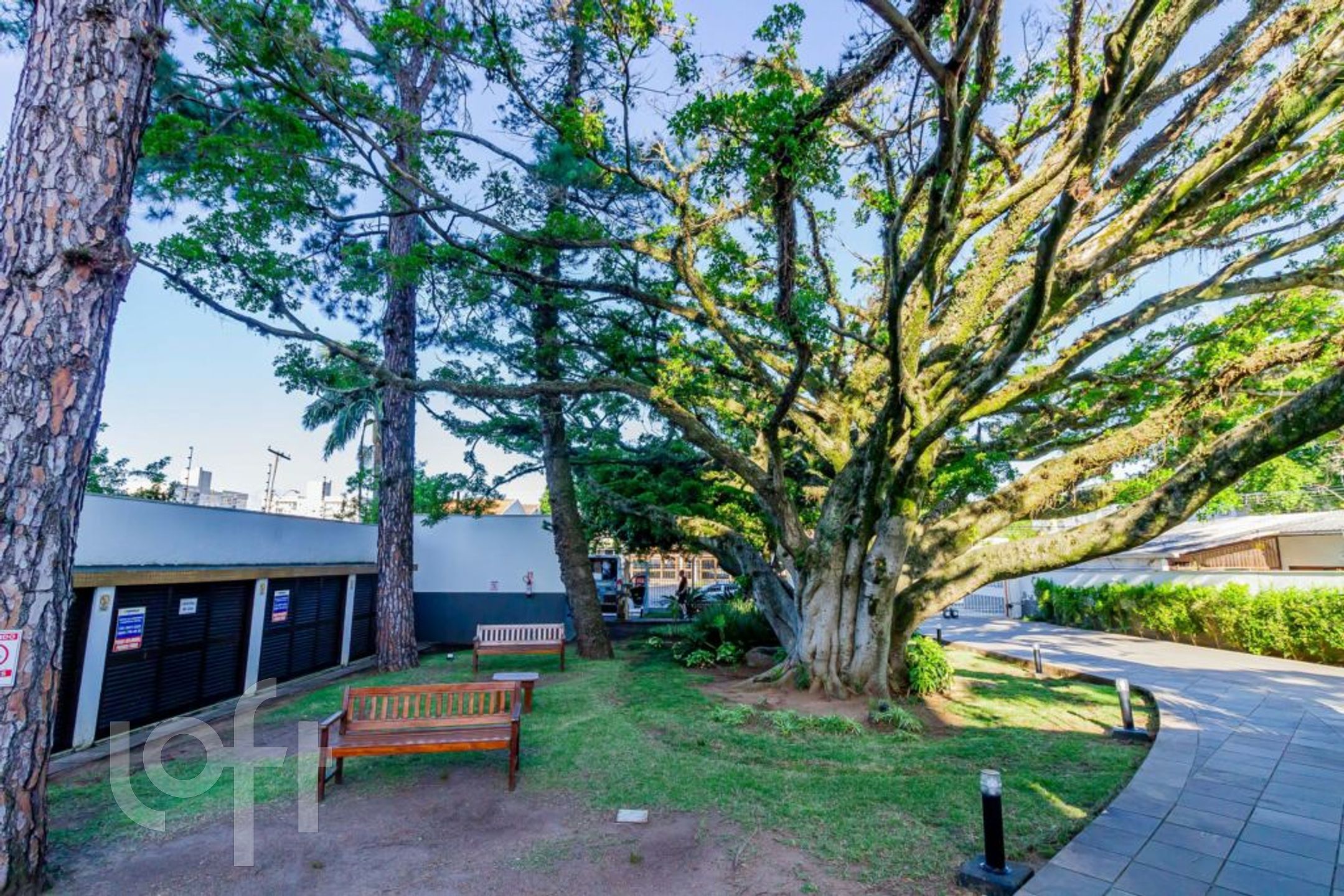 Imagem da propriedade 52