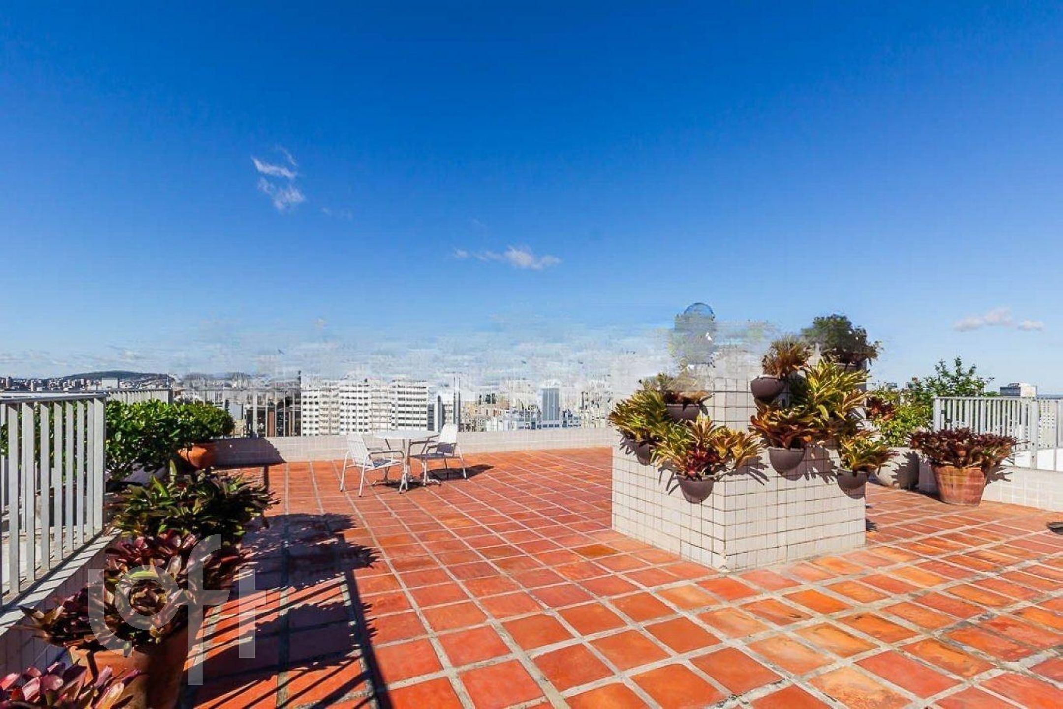 Imagem da propriedade 21