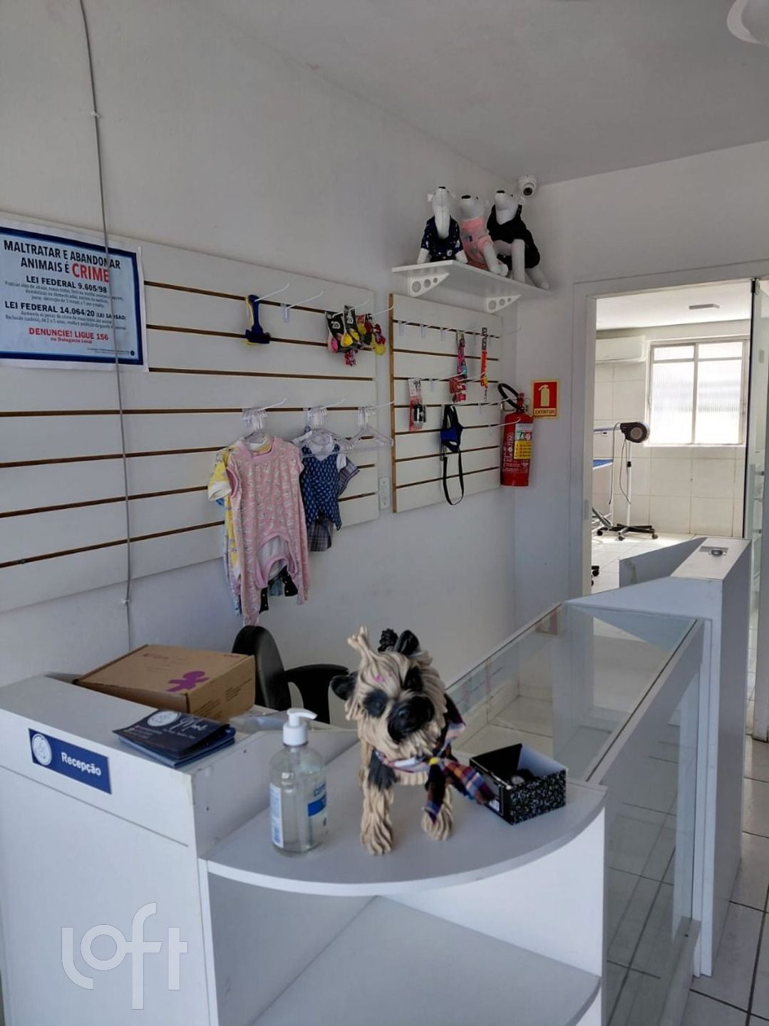 Imagem da propriedade 10