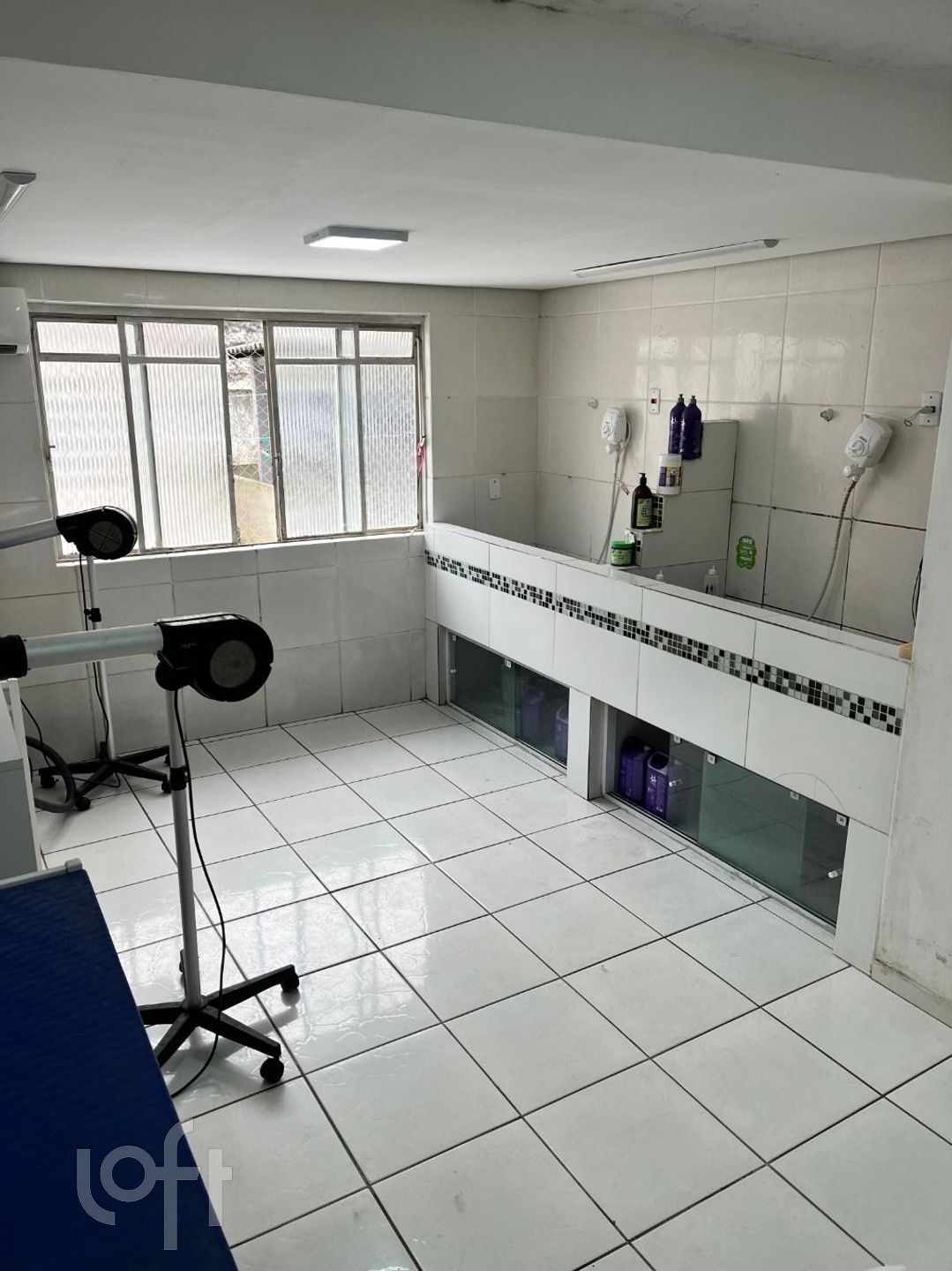 Imagem da propriedade 13