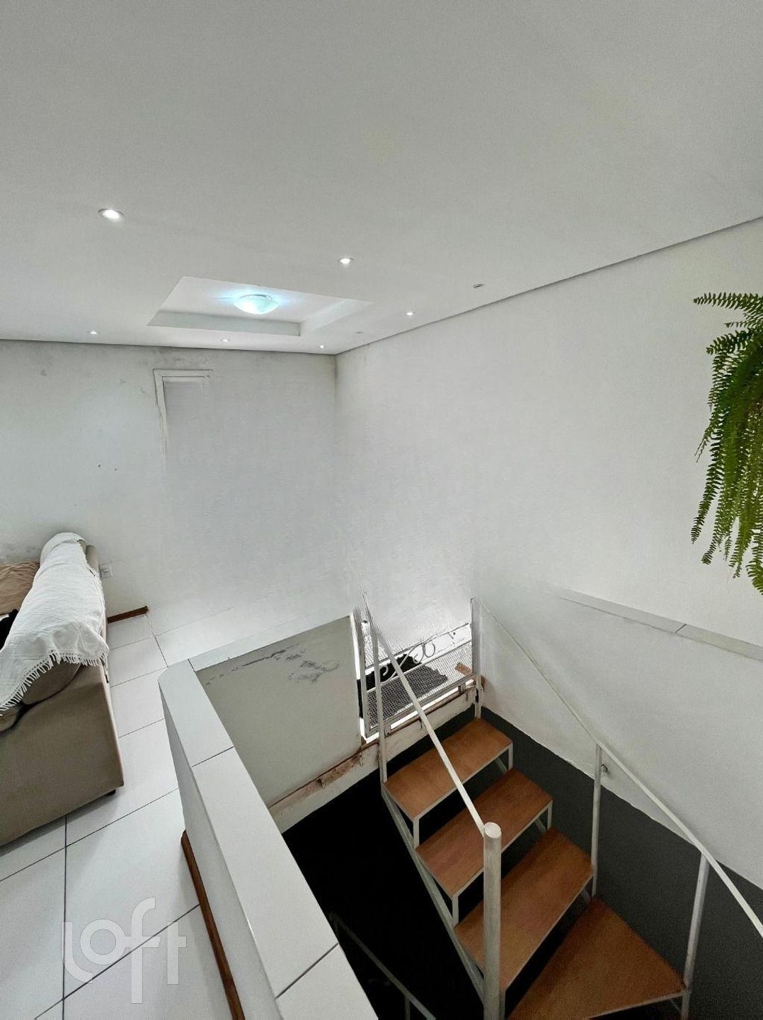 Imagem da propriedade 6