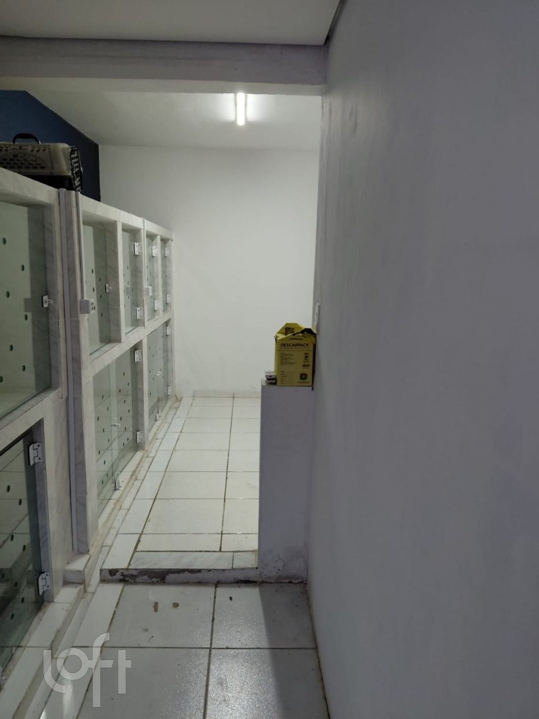 Imagem da propriedade 12