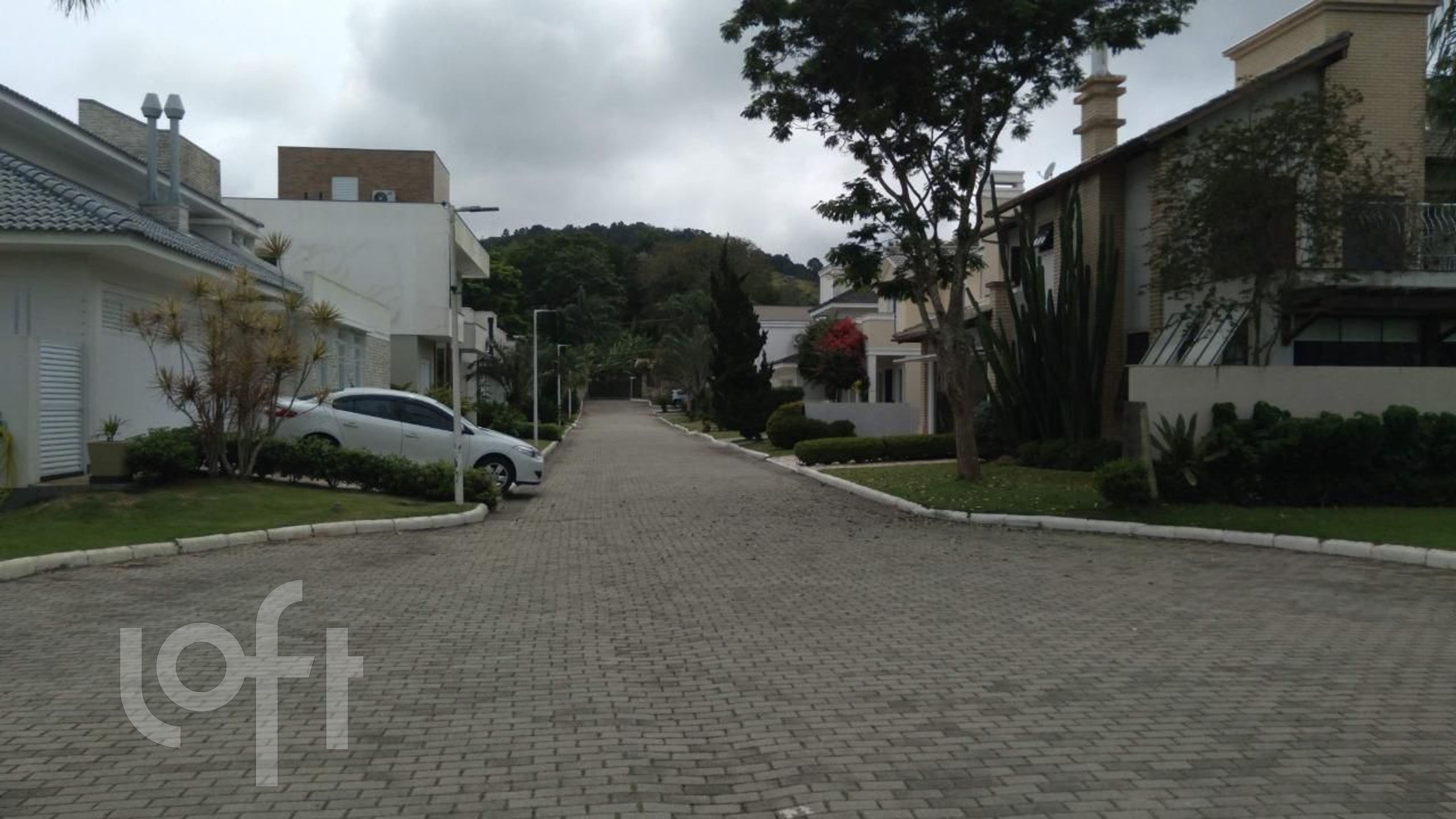 Imagem da propriedade 8