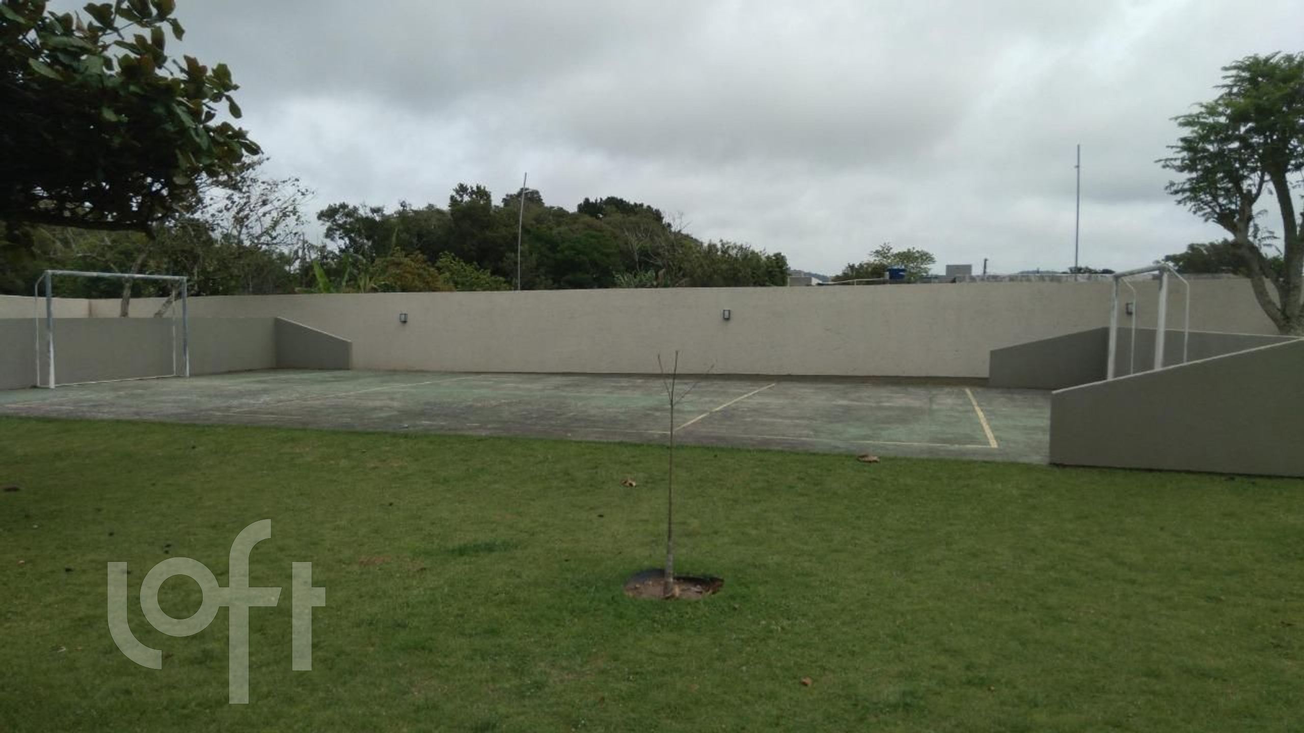 Imagem da propriedade 7