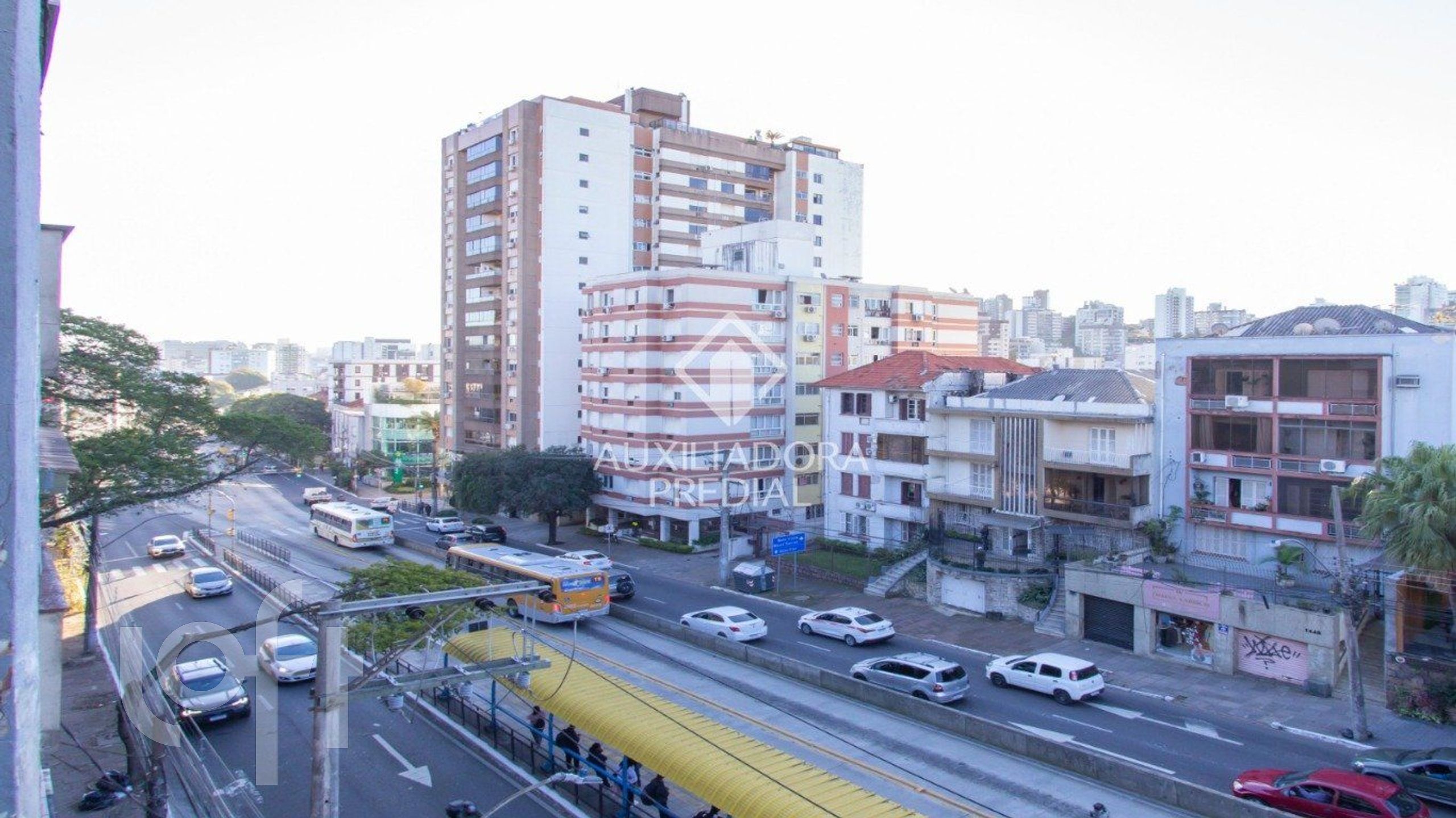 Imagem da propriedade 6