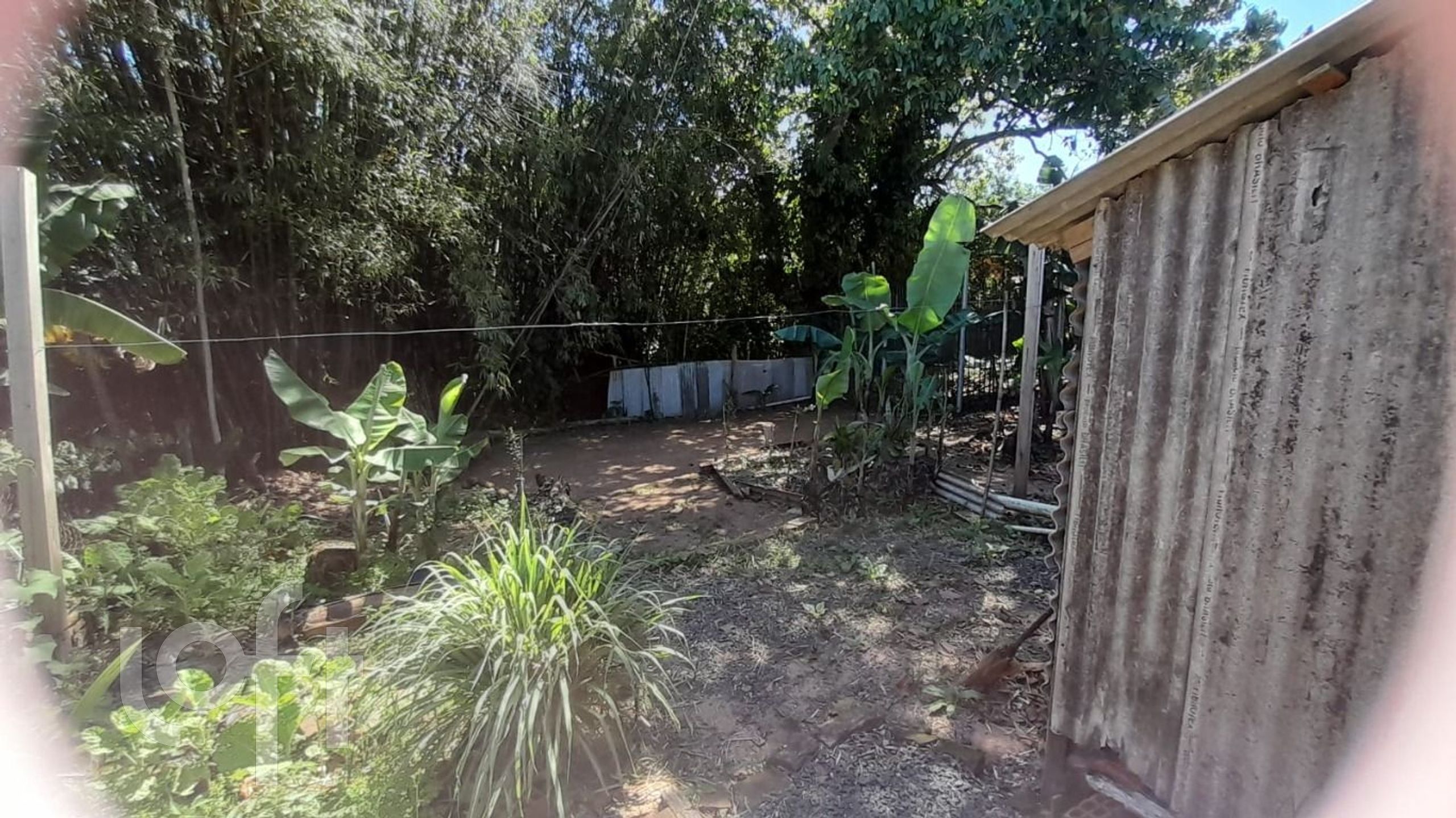 Imagem da propriedade 9