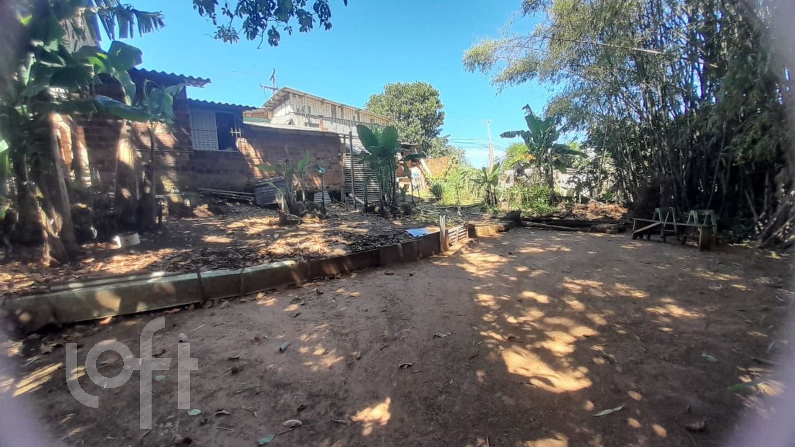 Imagem da propriedade 11