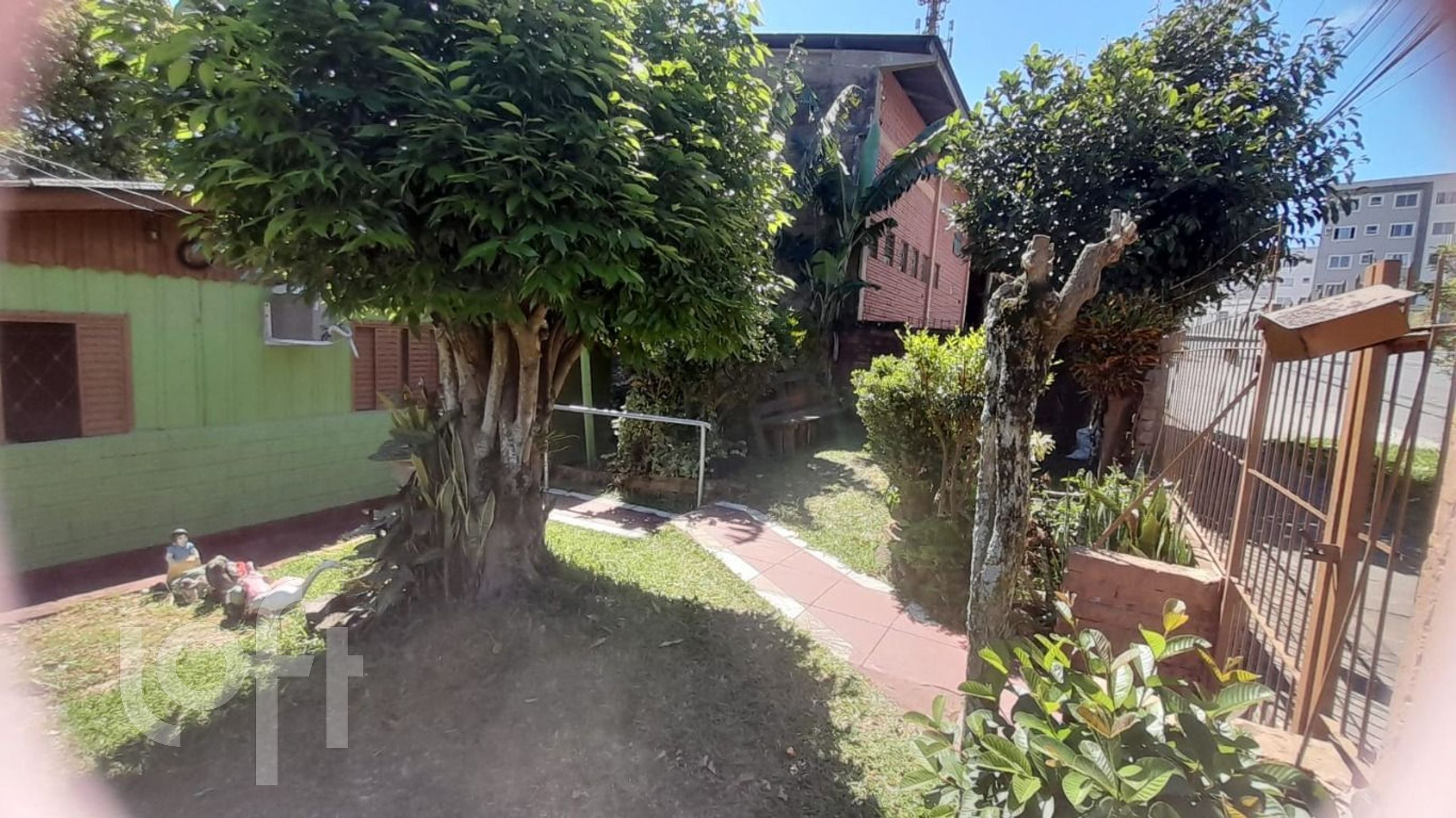 Imagem da propriedade 19