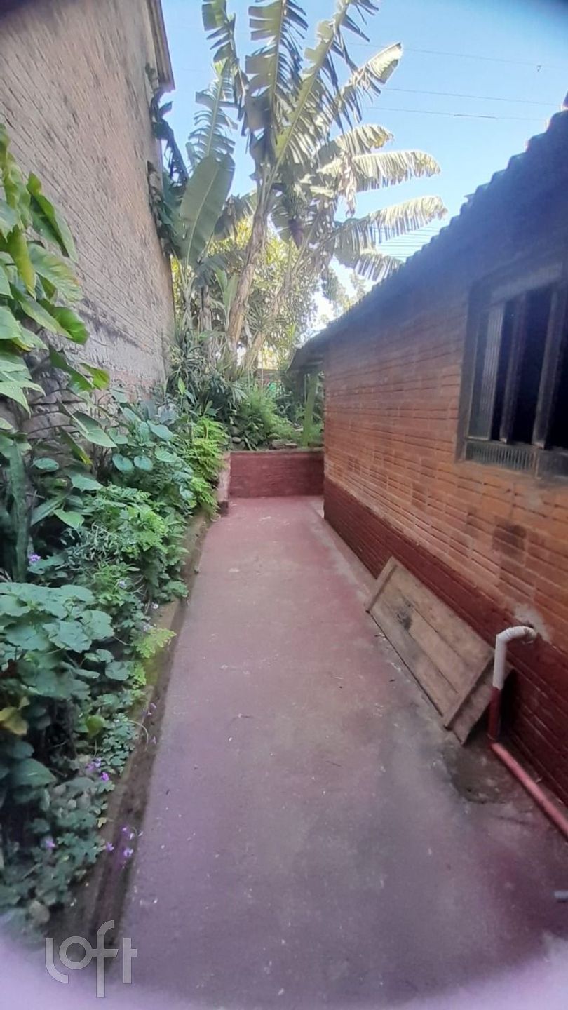 Imagem da propriedade 12