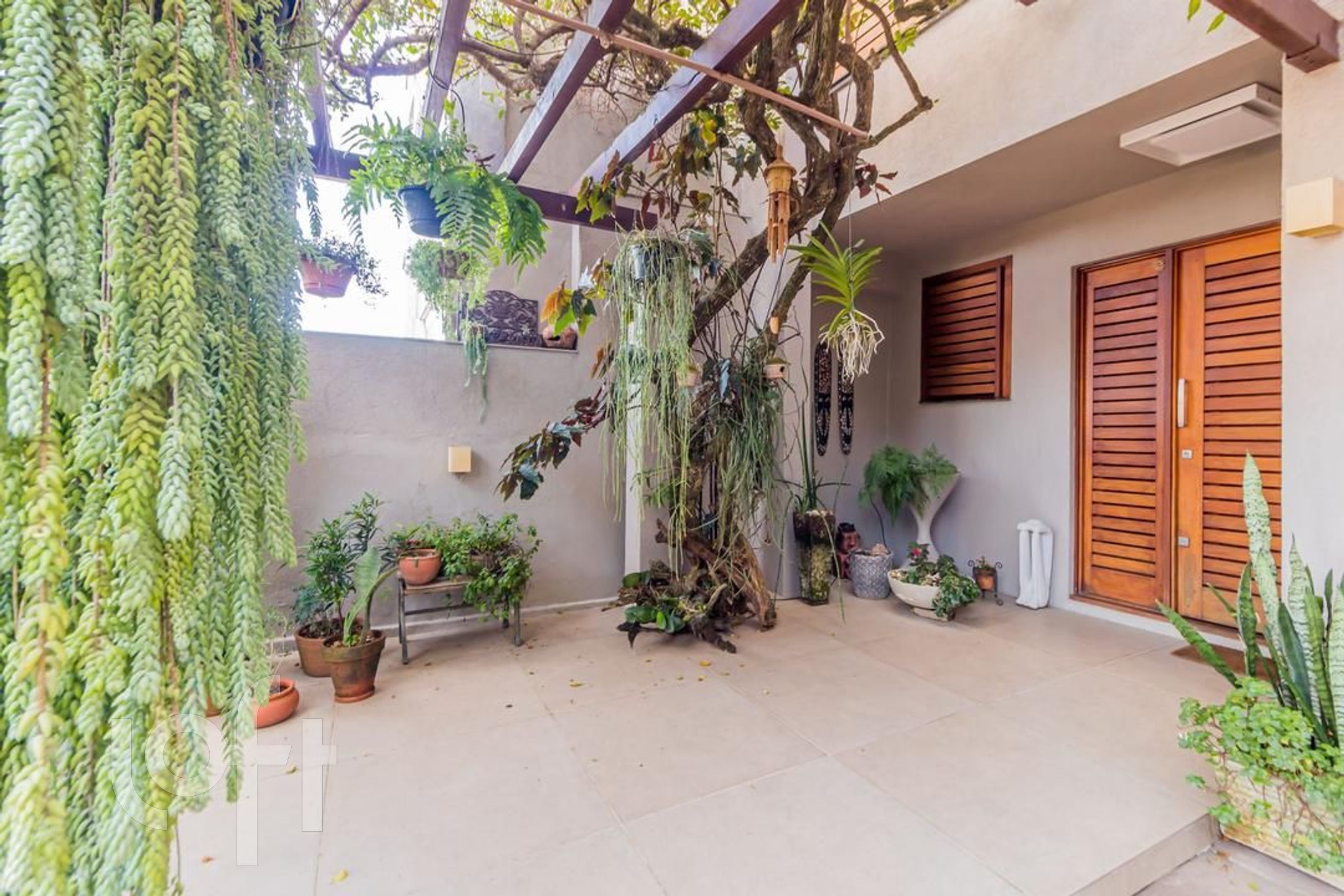 Imagem da propriedade 15