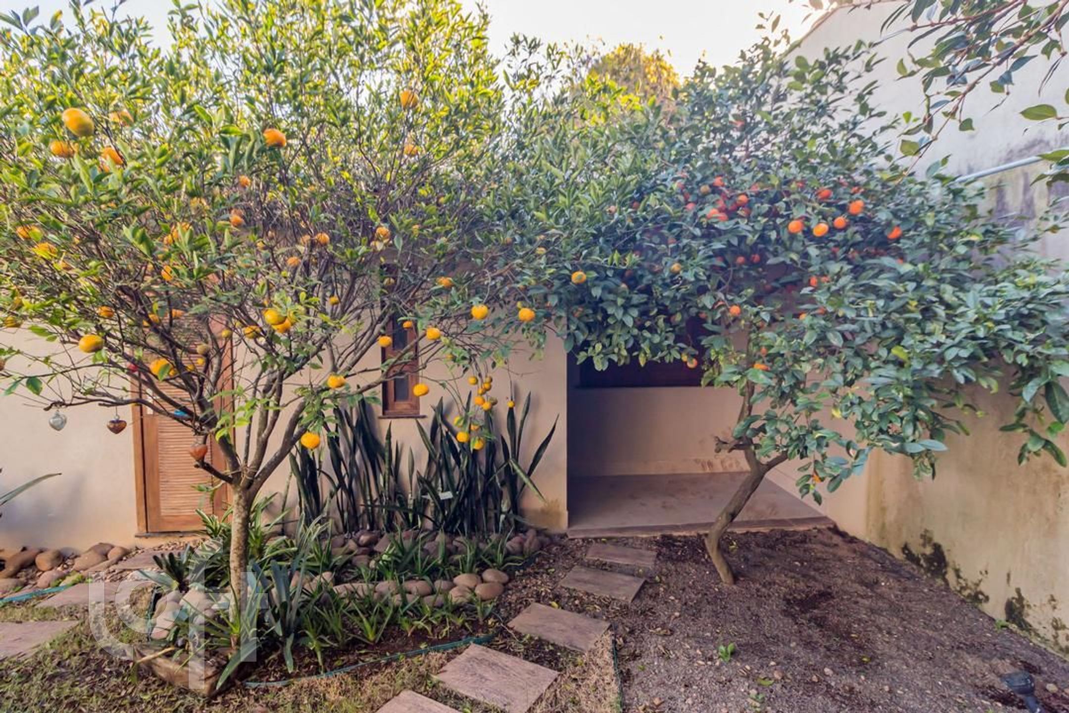 Imagem da propriedade 88