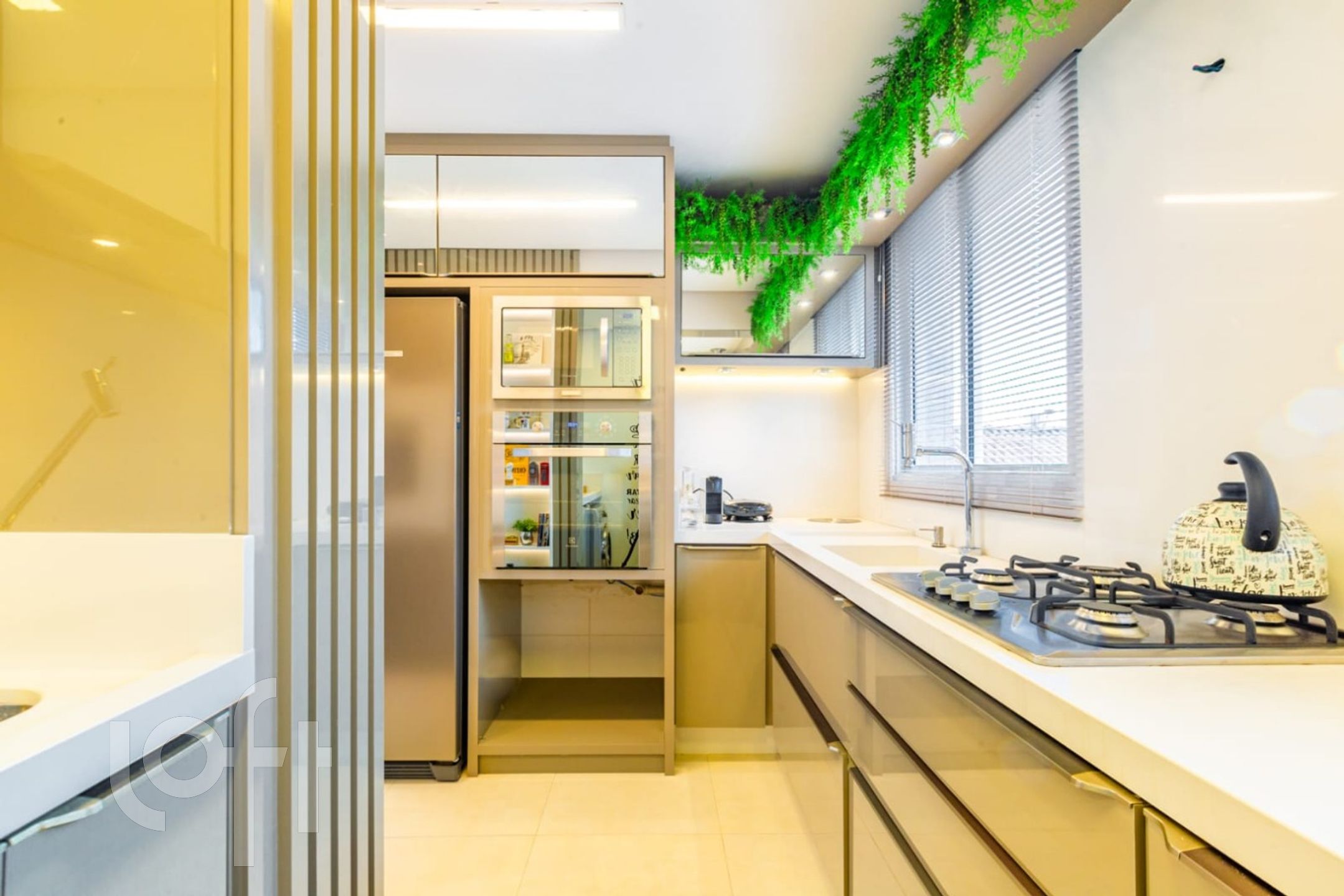 Imagem da propriedade 16