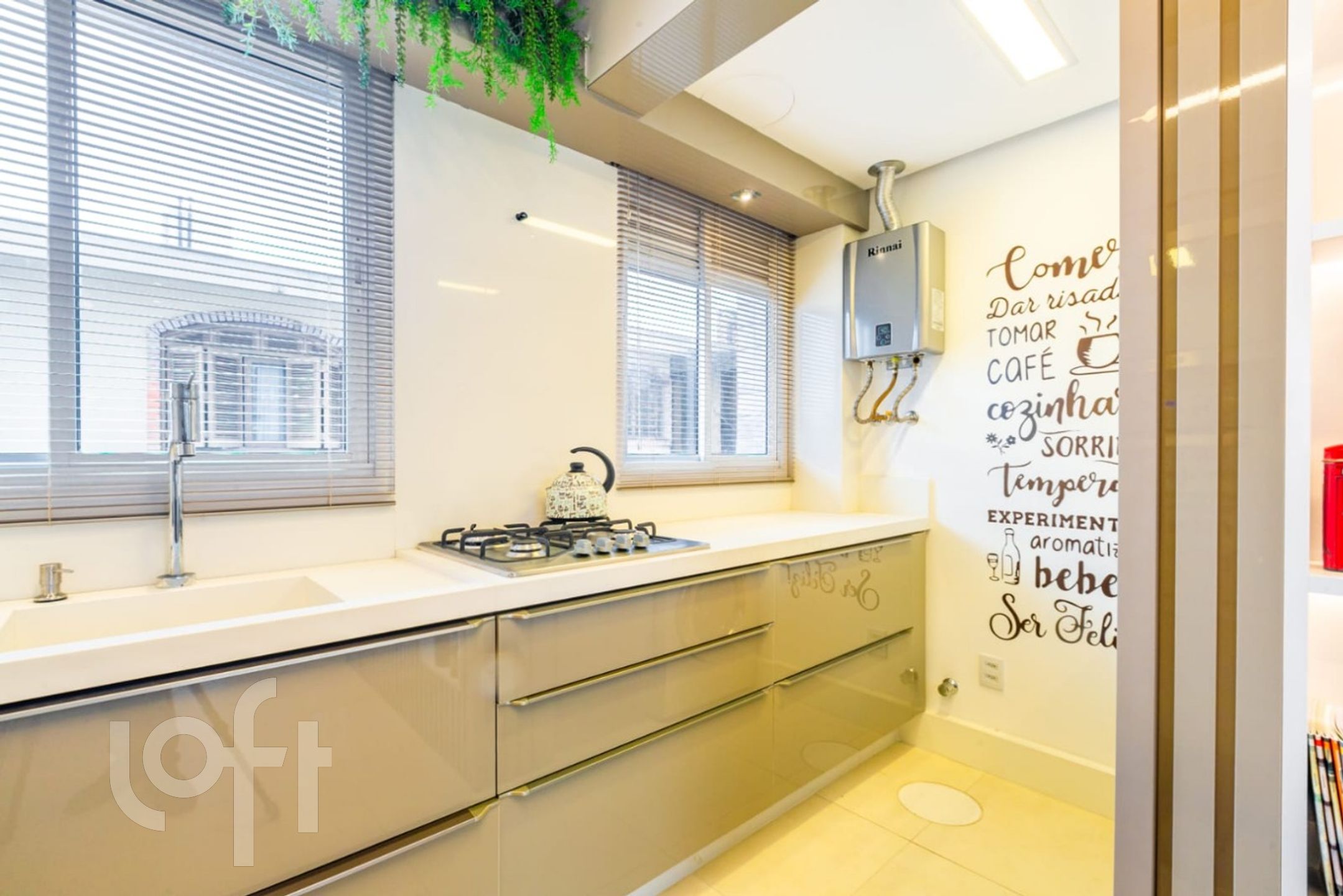 Imagem da propriedade 15